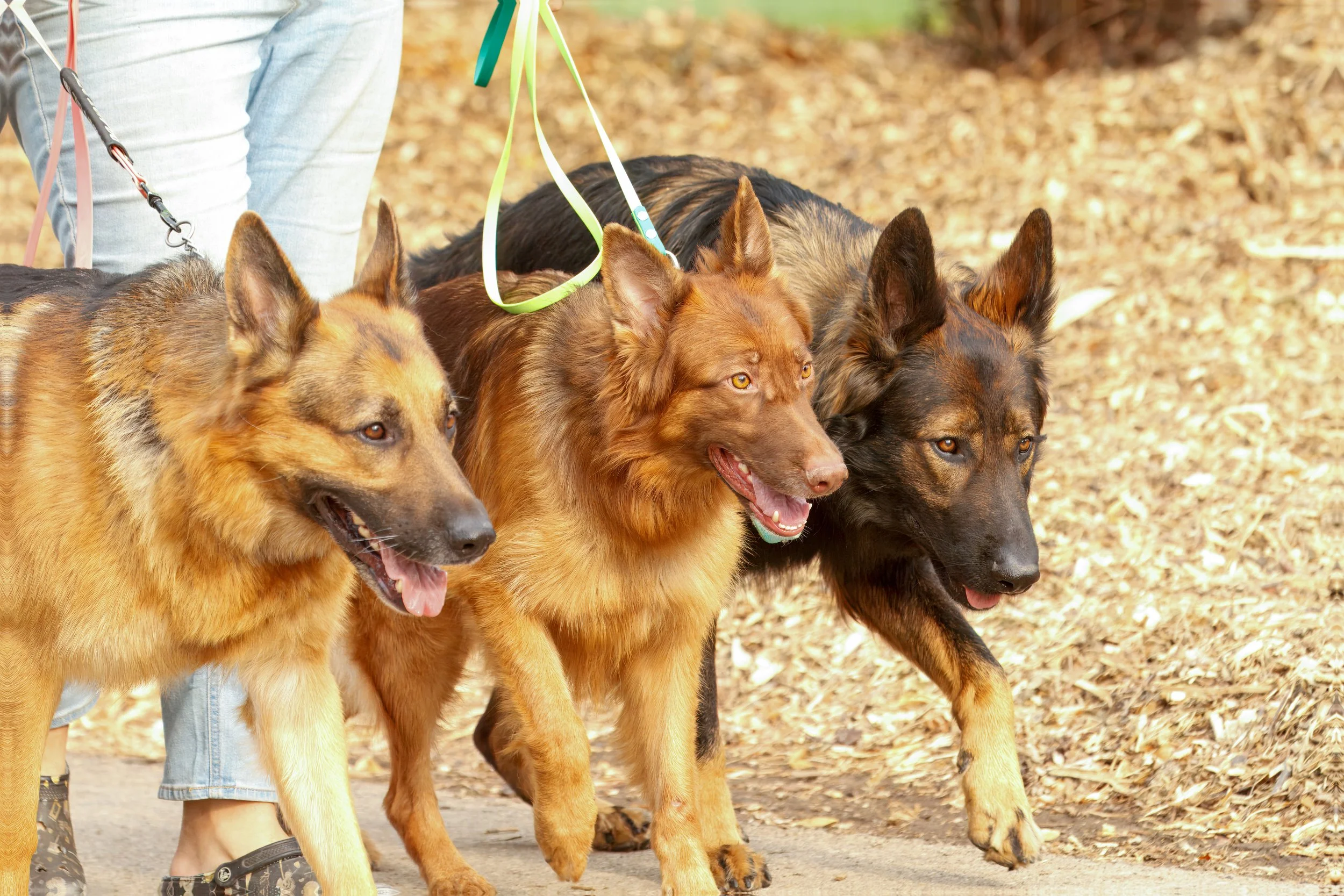 Overstimulated or Under-Fulfilled