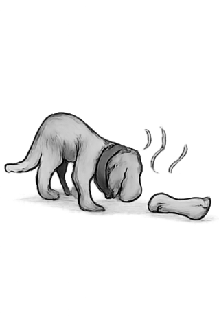 A dog sniffing a bone with steam rising from it, on a flat surface, in black and white.