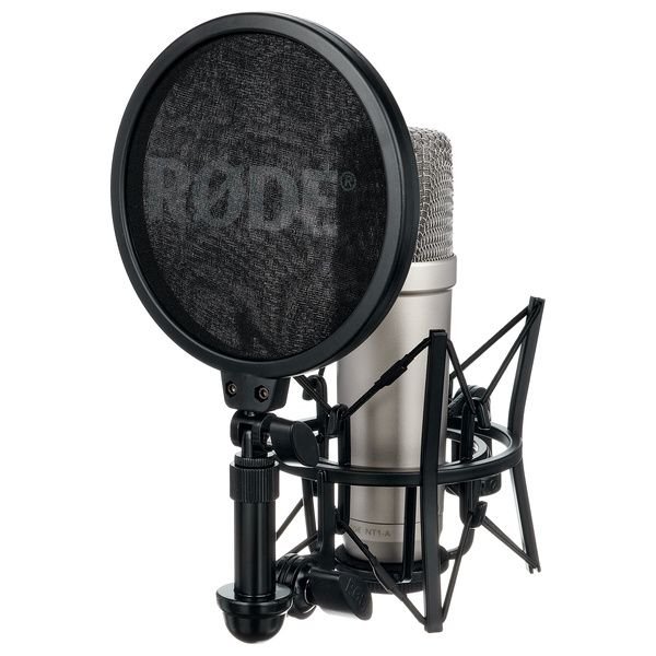 A professional studio condenser microphone with a pop filter on a stand