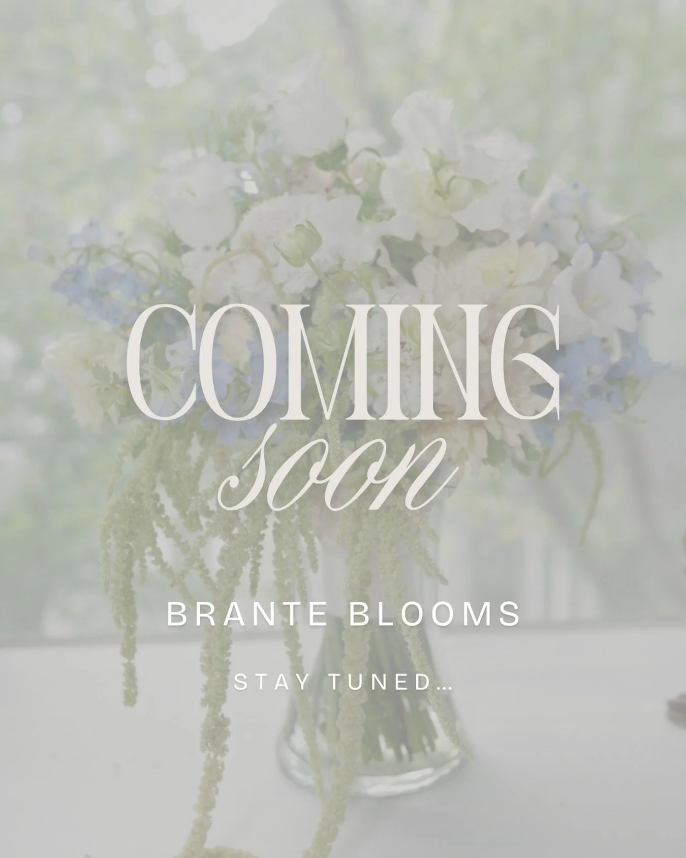 BIG NEWS ✨ 

We are super excited to share that Brante Blooms Flower Shop &amp; Studio is coming to Acworth, owned and operated by mother-daughter duo Sheri Brante and Helena Brante Williams 

One location, countless blooming memories 💐

@hbfloralde