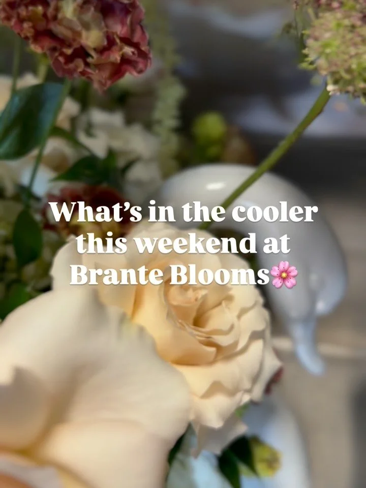 Making memories bloom this weekend🌸✨💕

Which one is your favorite?! The swan is ranking top of the list for us because how fun 🦢

If you can&rsquo;t stop by today then you can place an order online at branteblooms.com to elevate your next event or