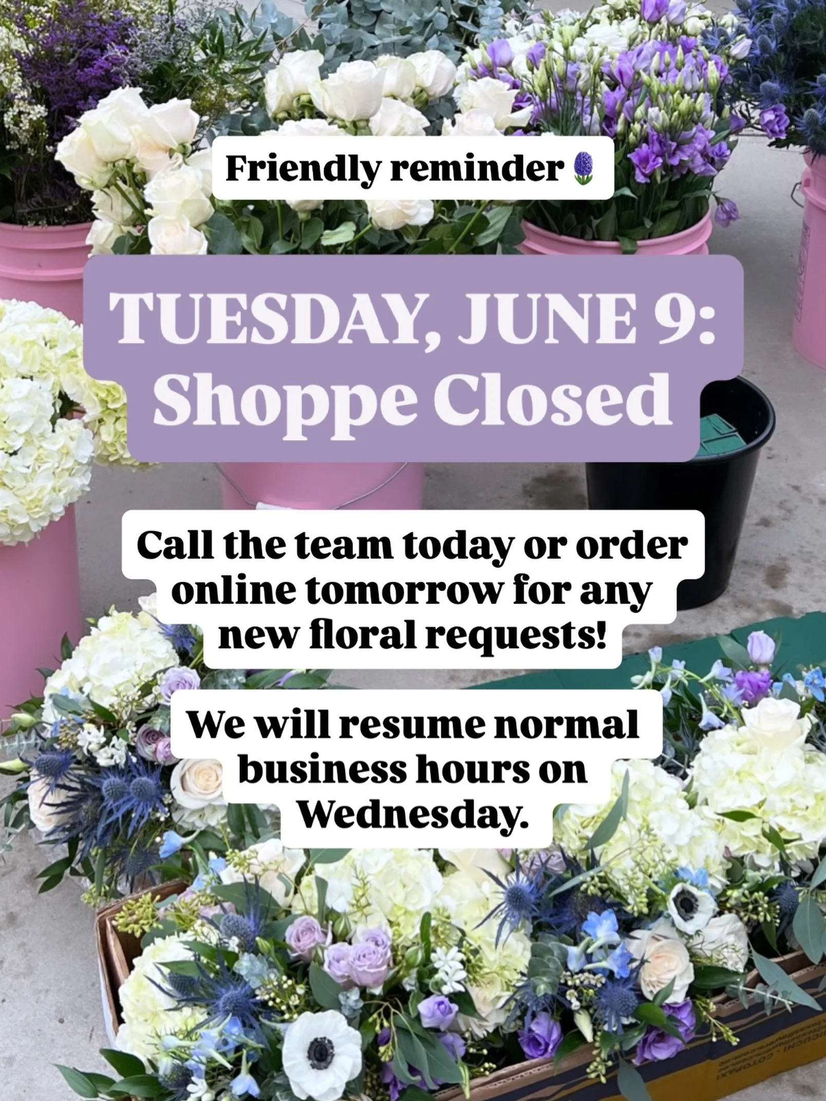 You can order online at branteblooms.com 24/7 ✨ Our shoppe will be closed tomorrow so come see us today or Wednesday!

#happymonday❤️ #georgiaflorist #flowersalways #acworthga #kennesaw