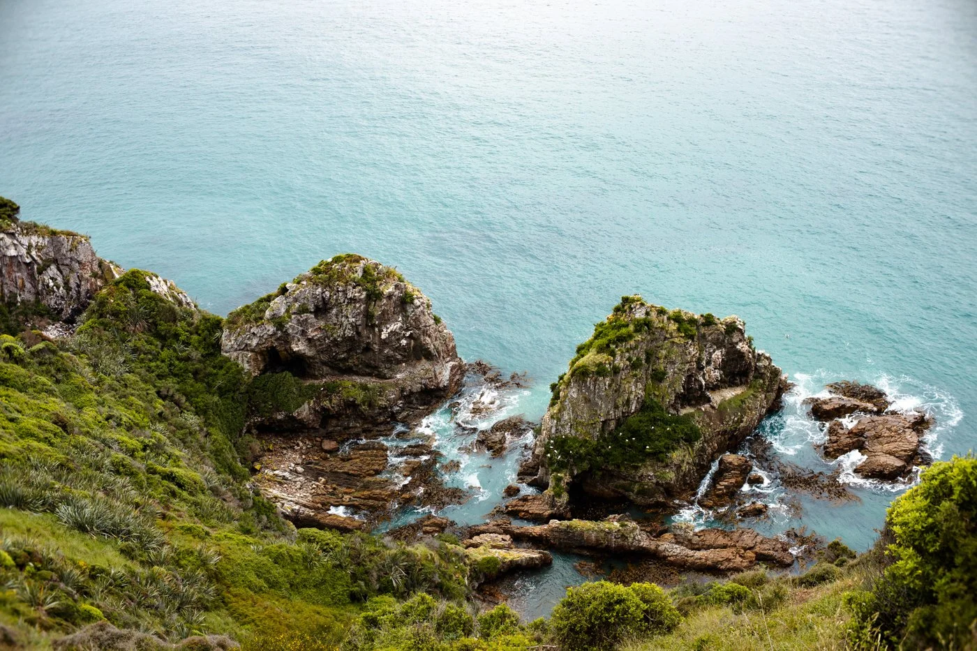 Coastal landscape with rocky cliffs, lush green vegetation, and calm ocean water.