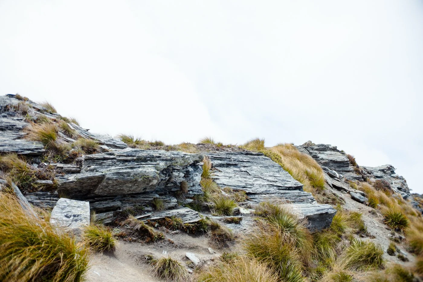 Close-up of rocky, grassy hillside with sparse plant growth against a cloudy sky.