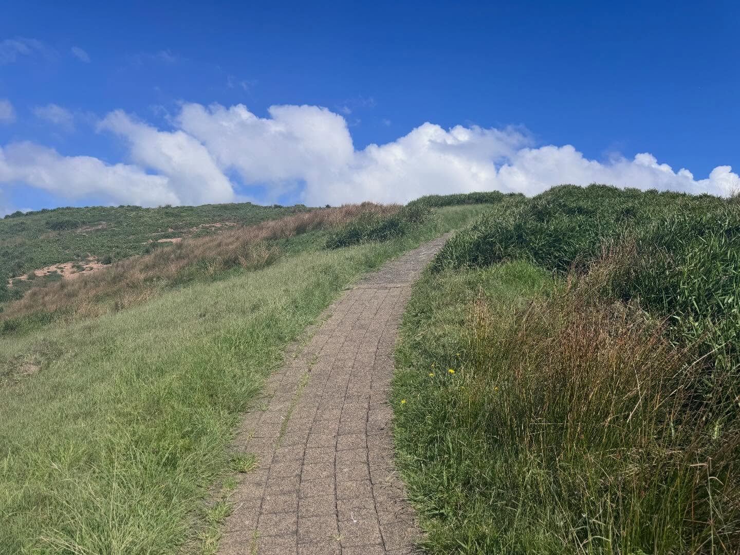 🌿 Online counselling is now available &mdash; wherever you are in Australia

You can now work with me from the comfort of your own home via Zoom.

If you&rsquo;ve been sitting with something and wondering where to start &mdash; stress, overwhelm, re