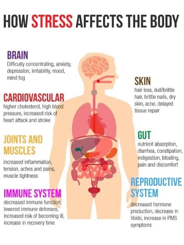 We can think of stress as something happening only in the mind, but the body experiences it too.

Stress can show up physically as:
&bull; tight muscles
&bull; headaches
&bull; digestive issues
&bull; fatigue
&bull; shallow breathing
&bull; skin flar