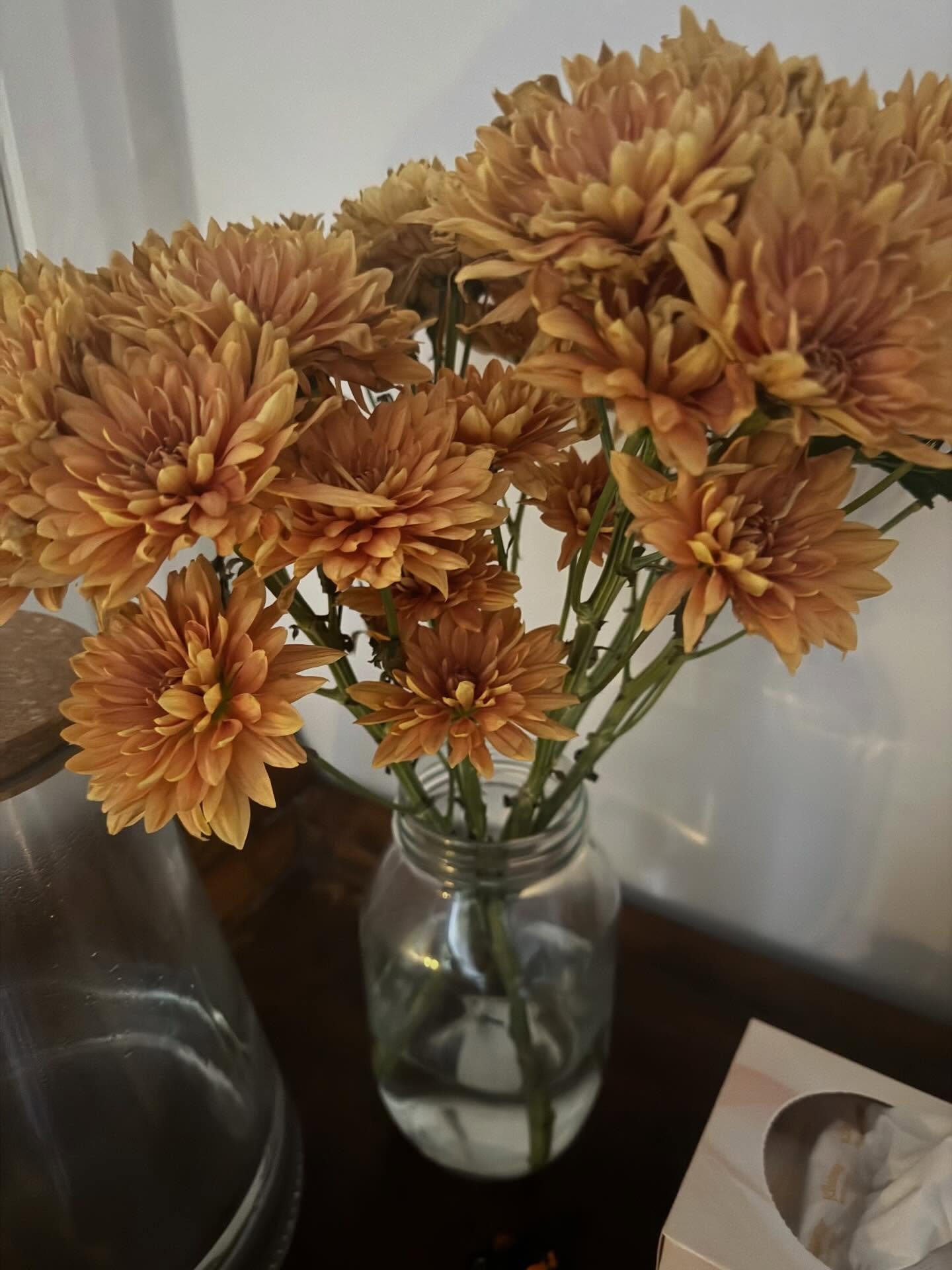 What a week in clinic. I welcomed new clients, many of whom were experiencing kinesiology for the very first time.

I always love hearing how people feel afterwards &mdash; some feeling so much more relaxed, others blown away by what was discovered a