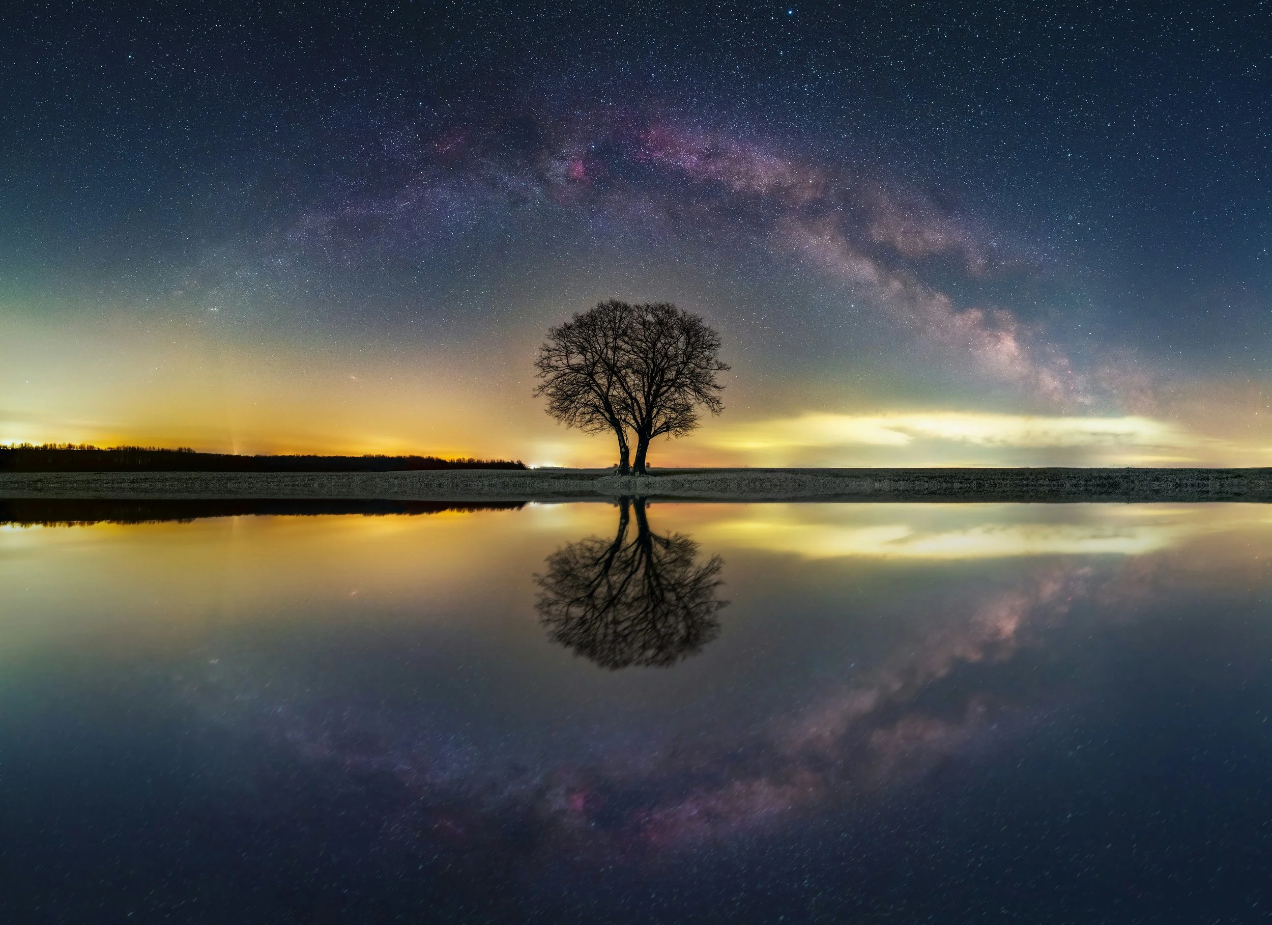 A silhouette of a tree reflected in calm water under a starry night sky with the Milky Way galaxy visible.