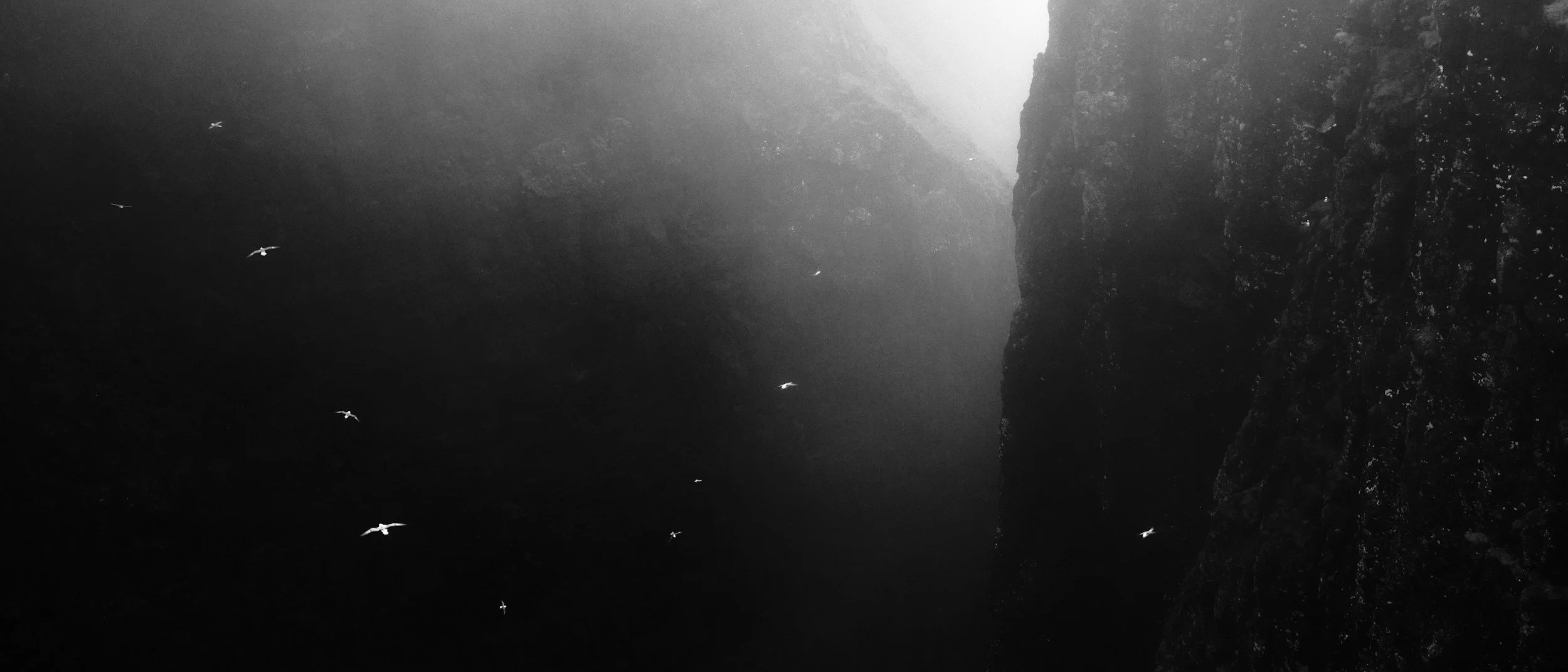 Black and white photograph of a deep canyon with steep rocky walls on the right side and a dark shadowed space on the left. Several birds are flying in the air within the canyon.
