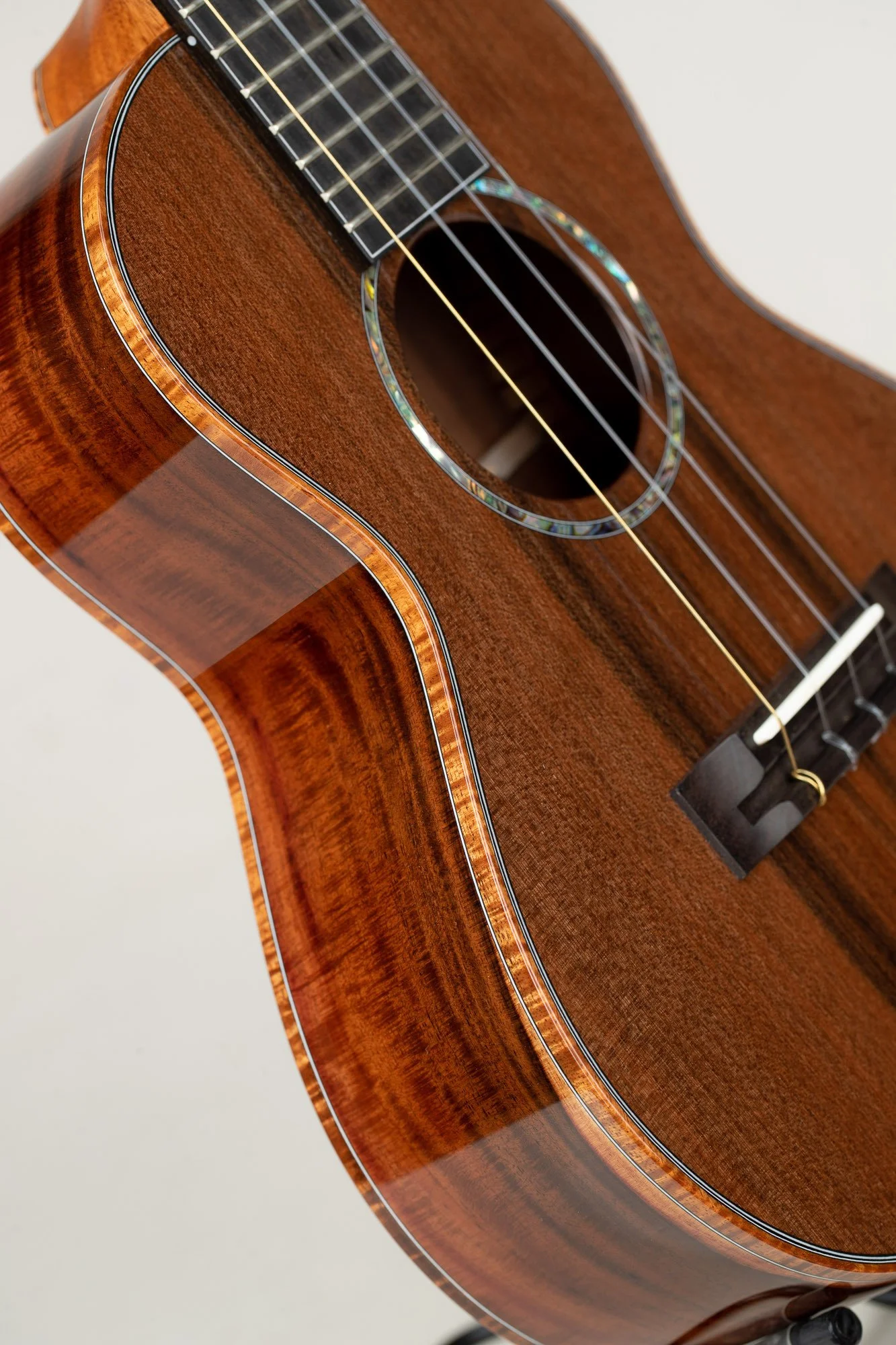 ko_olau_cs_redwood_milo_8624-10 (1).jpg