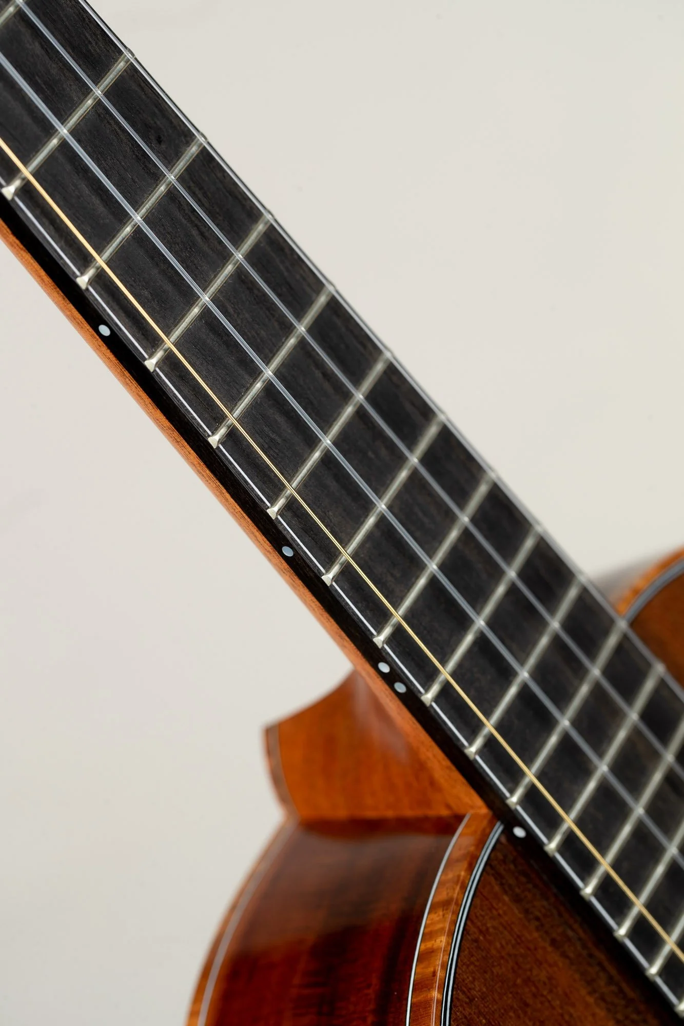 ko_olau_cs_redwood_milo_8624-08 (1).jpg