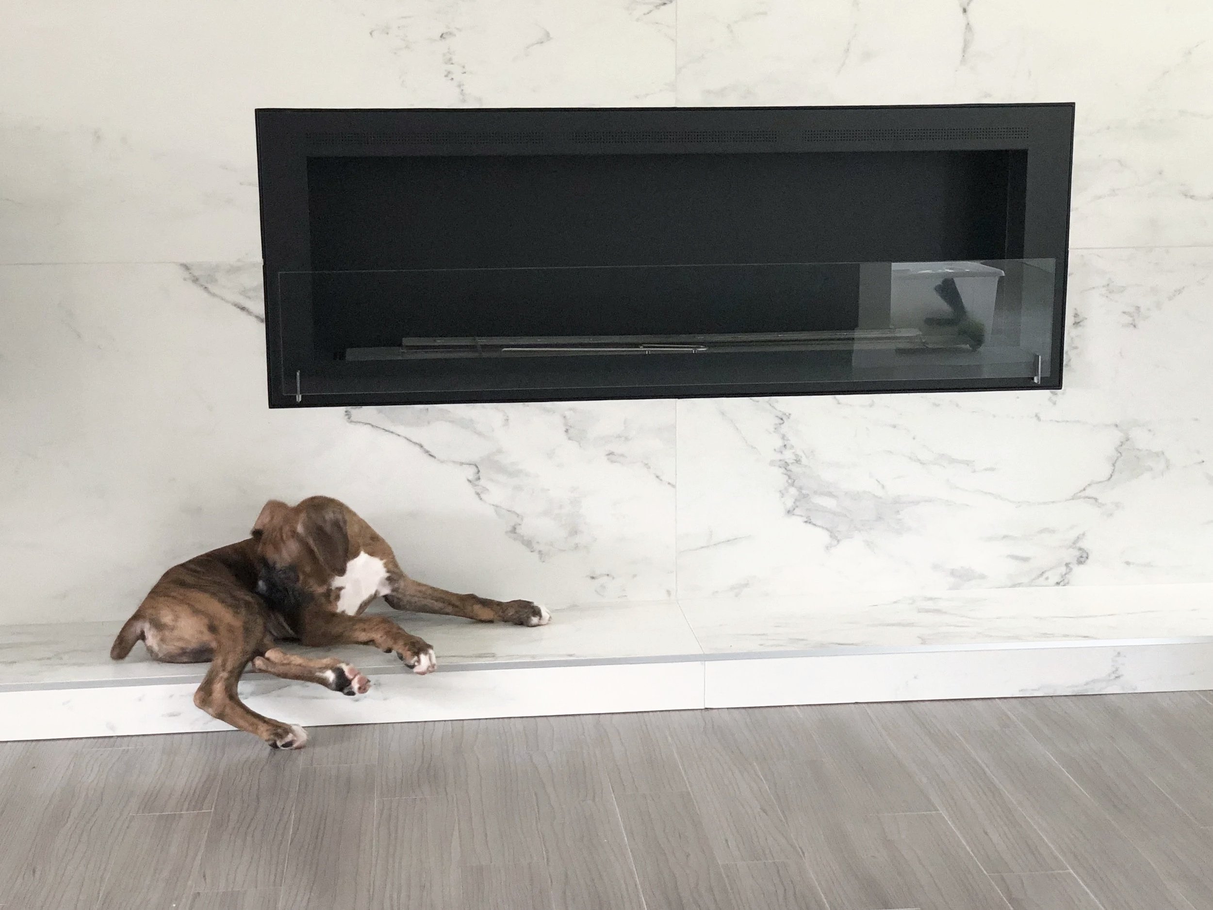 Modern black fireplace in Pierrefonds, West Island Montreal, wrapped in large format white tiles, with our beloved boxer Rocco taking center stage