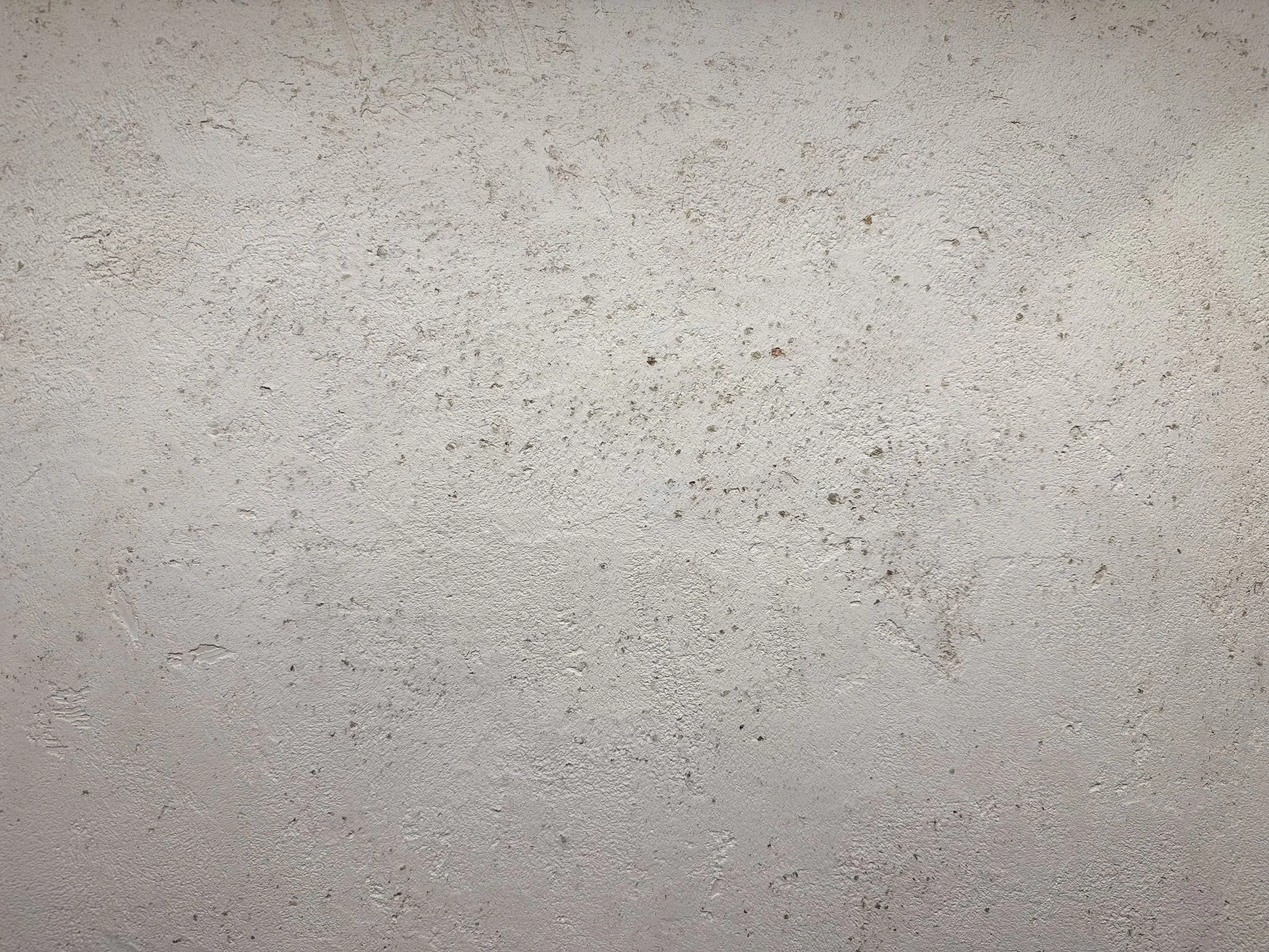 Venetian plaster accent wall with polished mineral finish in a Beaconsfield residence, Montreal West Island.