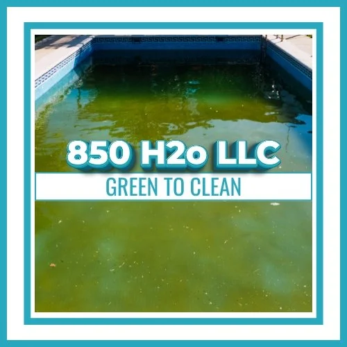 GREEN-TO-CLEAN POOL RECOVERY SERVICE