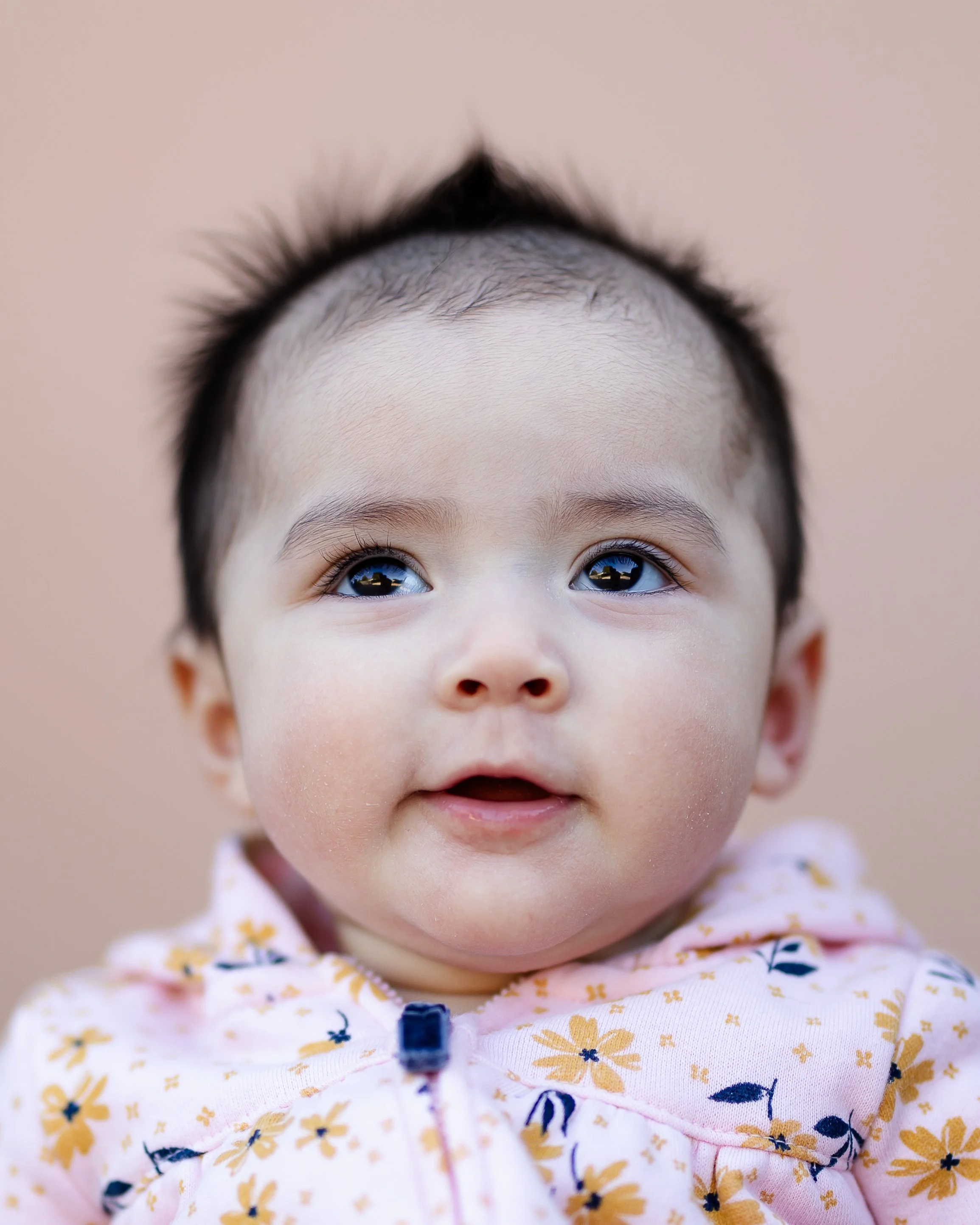 Los Angeles baby portrait photographer