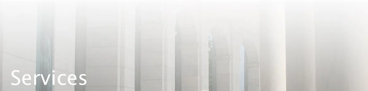 Services page header for Themis Insight showing a modern office building representing professional consulting services.