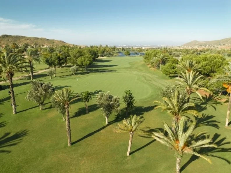 A scenic golf course with lush green grass, palm trees, and a water hazard in a warm climate, promoting golf retreats