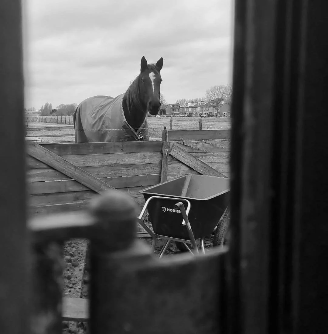 The Shortest Day of the Year