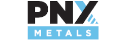 LOGO PNXV.png