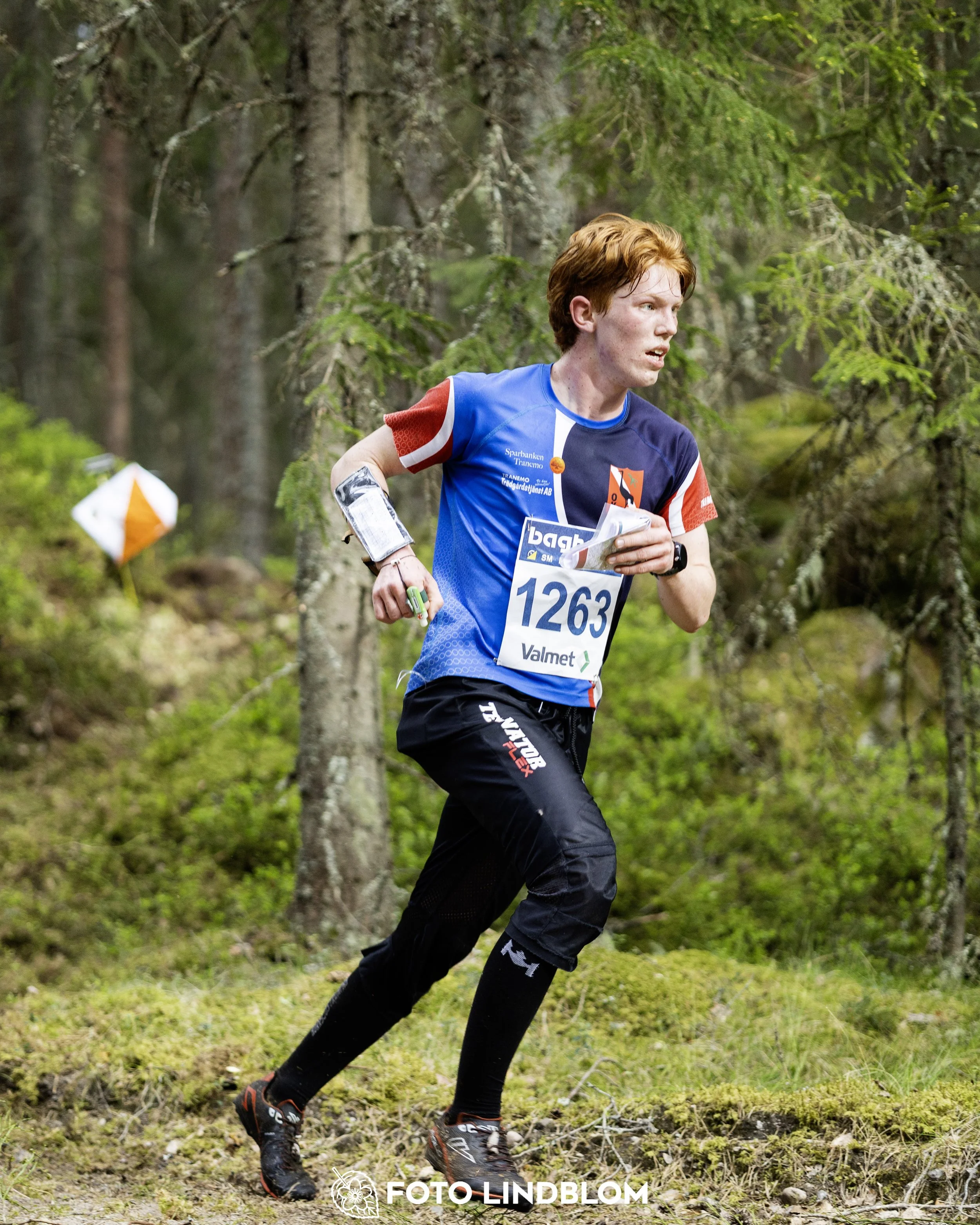 A picture from the Swedish national championship in middle distance orienteering and Swedish league race