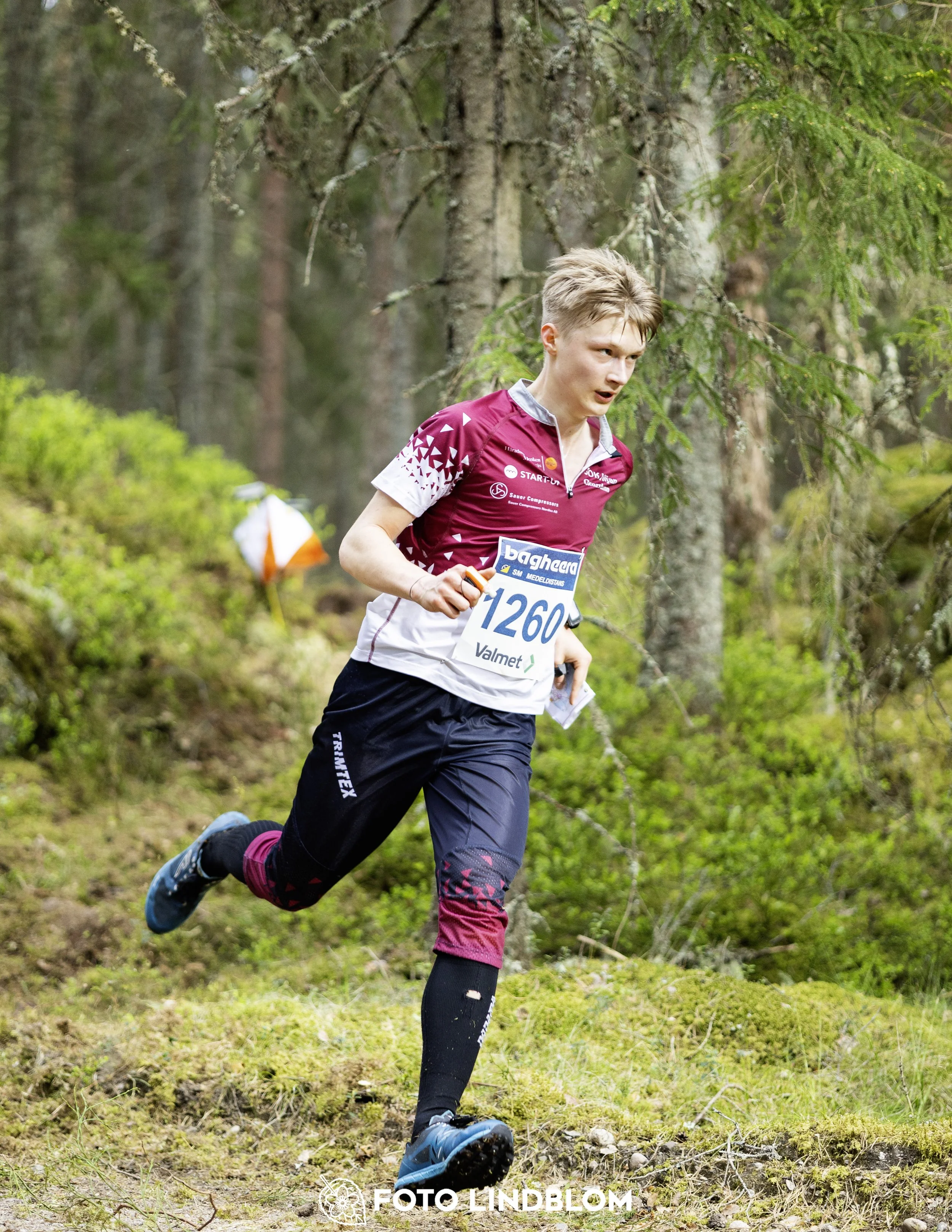 A picture from the Swedish national championship in middle distance orienteering and Swedish league race