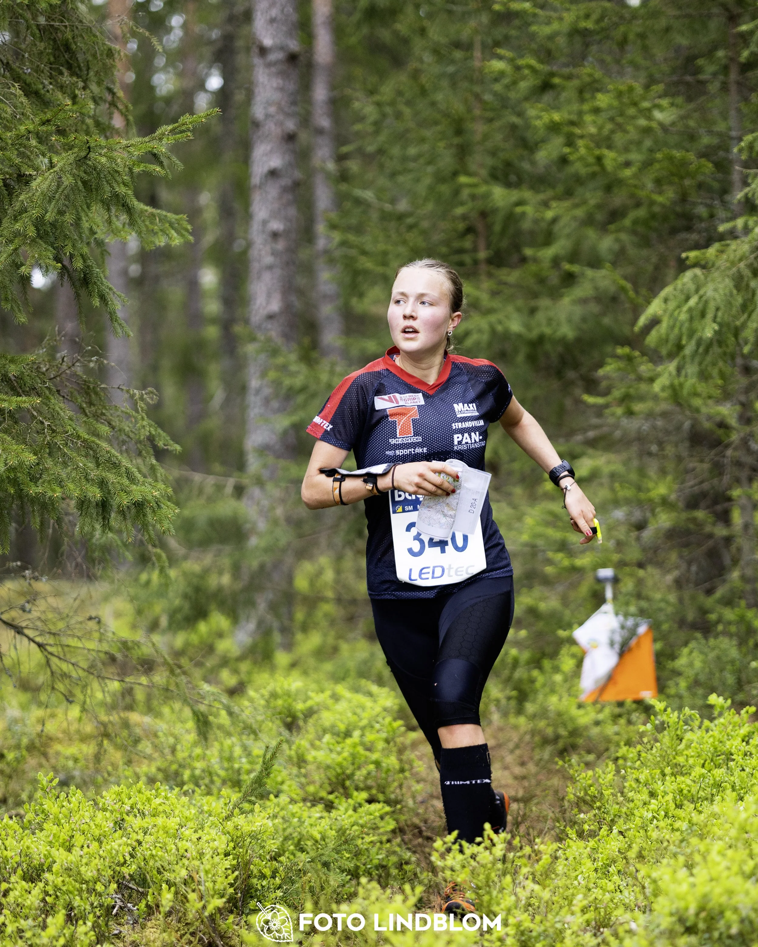 A picture from the Swedish national championship in middle distance orienteering and Swedish league race