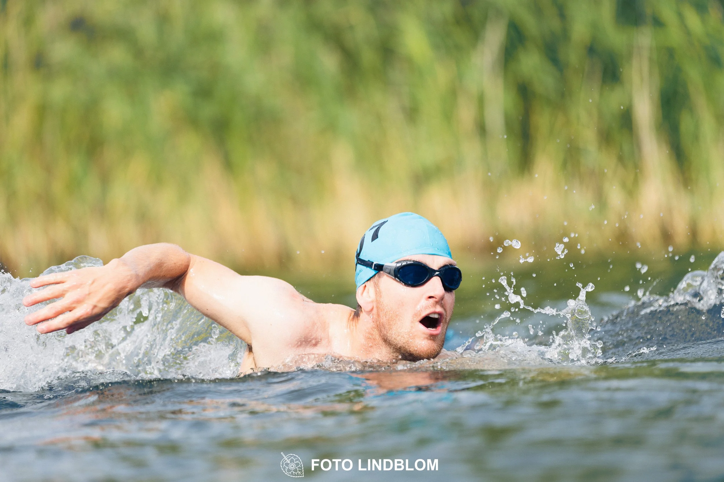 260815-Moose2Goose-53.jpg
