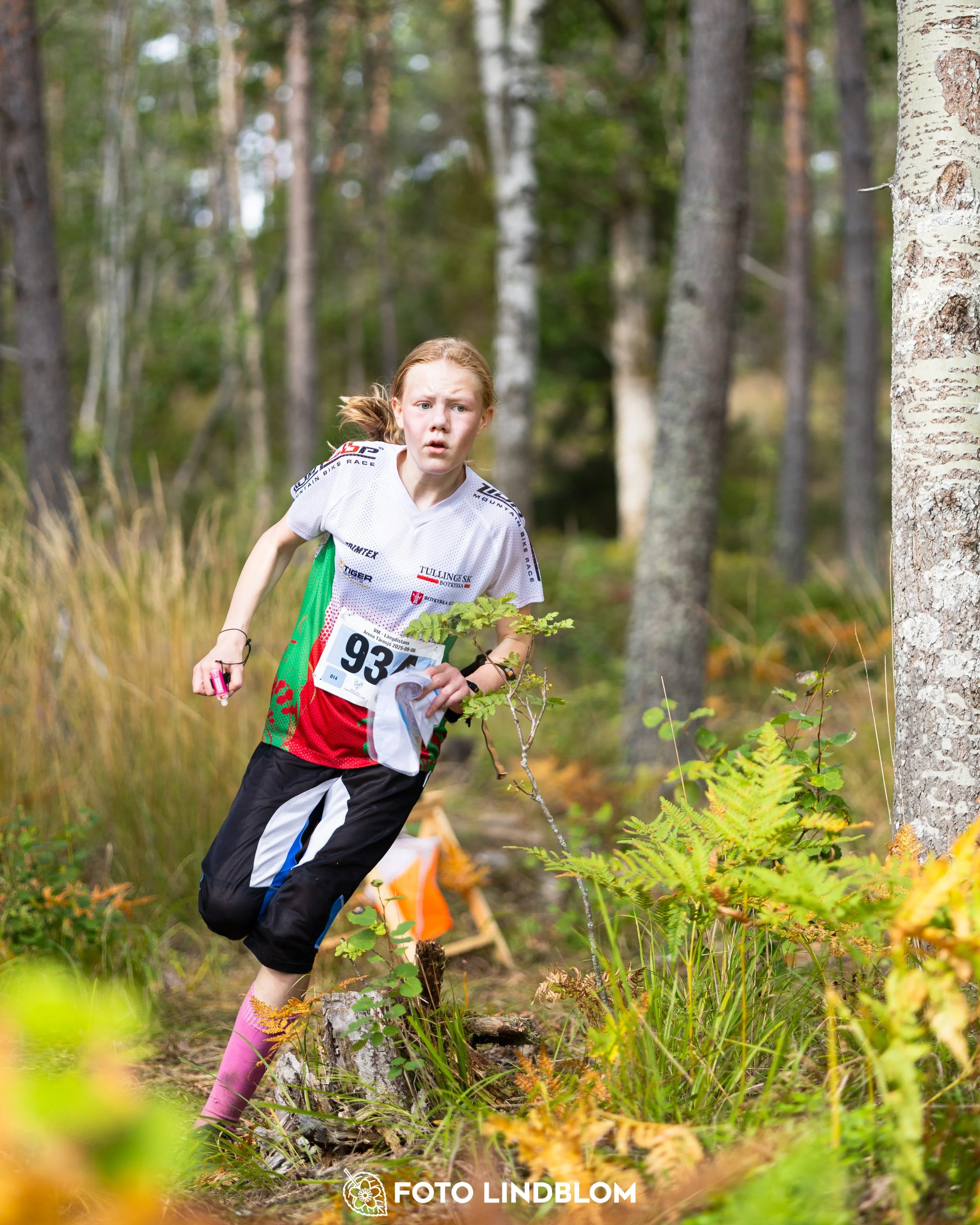 A picture from the Stockholm district championship in middle distance orienteering taken by Foto Lindblom