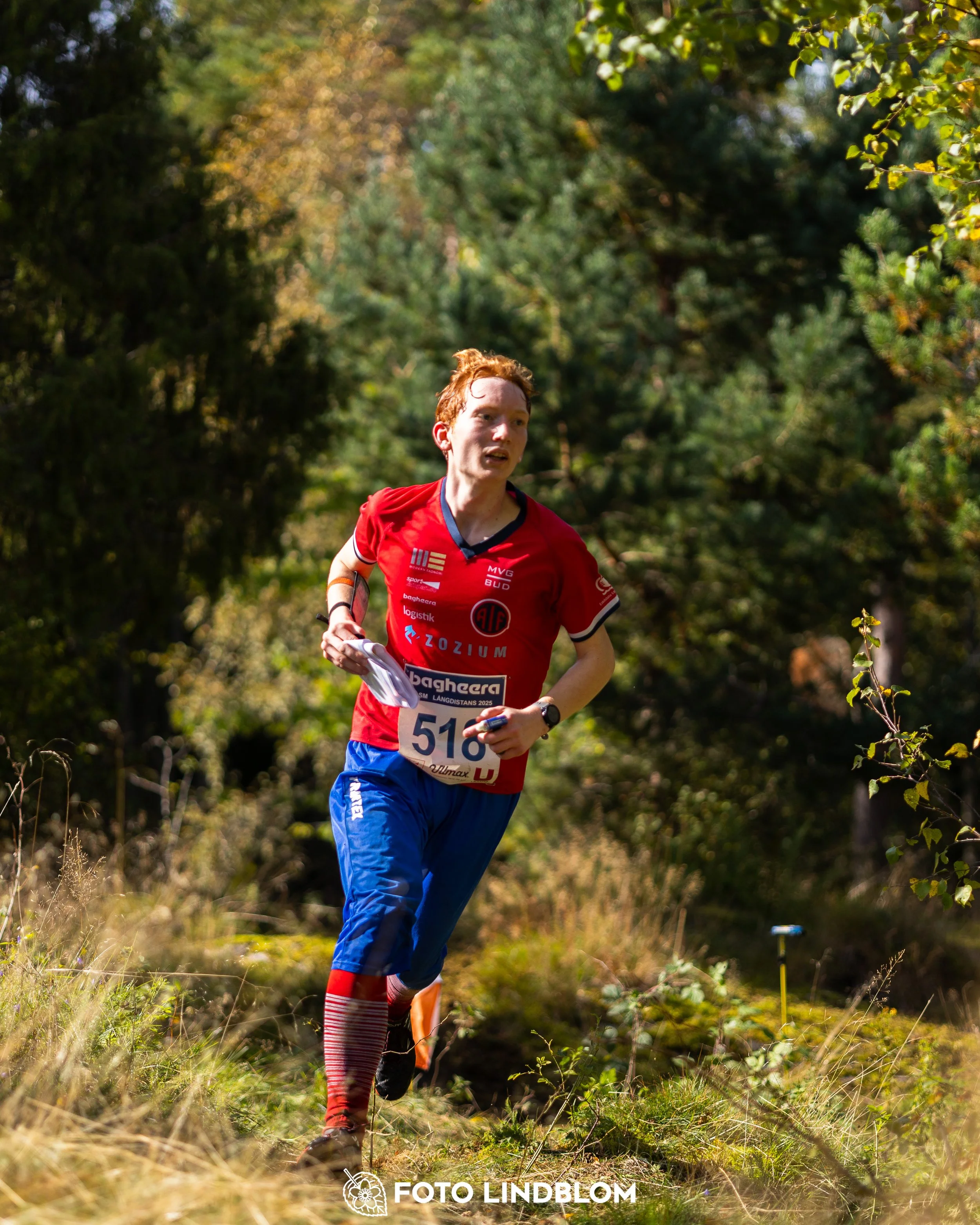 A picture from the Swedish national championship in long distance orienteering and Swedish league race taken by Foto Lindblom