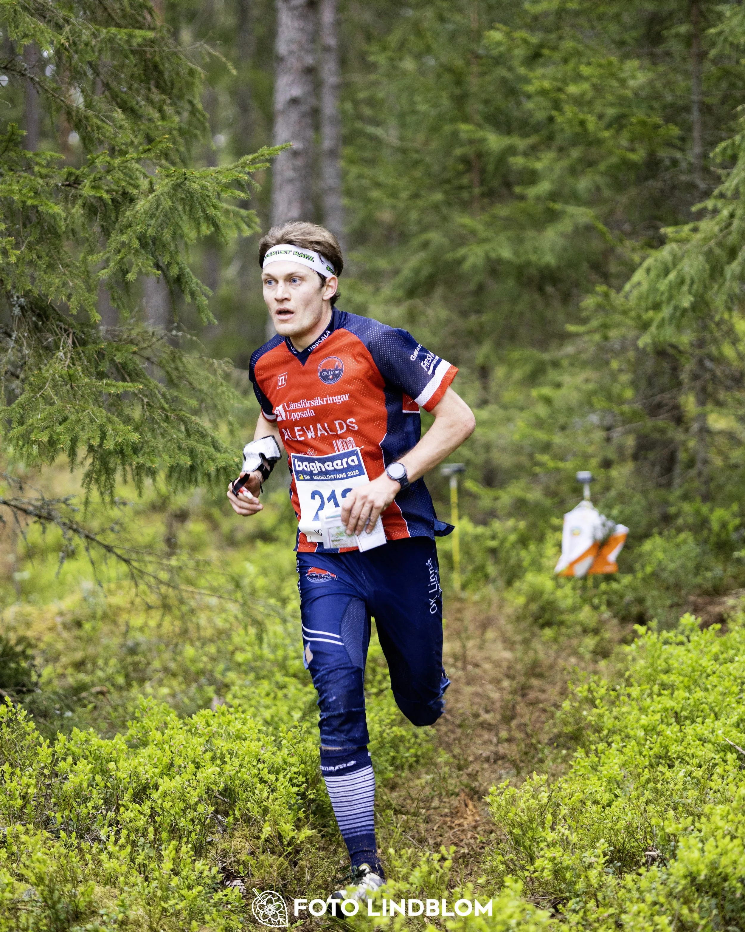 A picture from the Swedish national championship in middle distance orienteering and Swedish league race