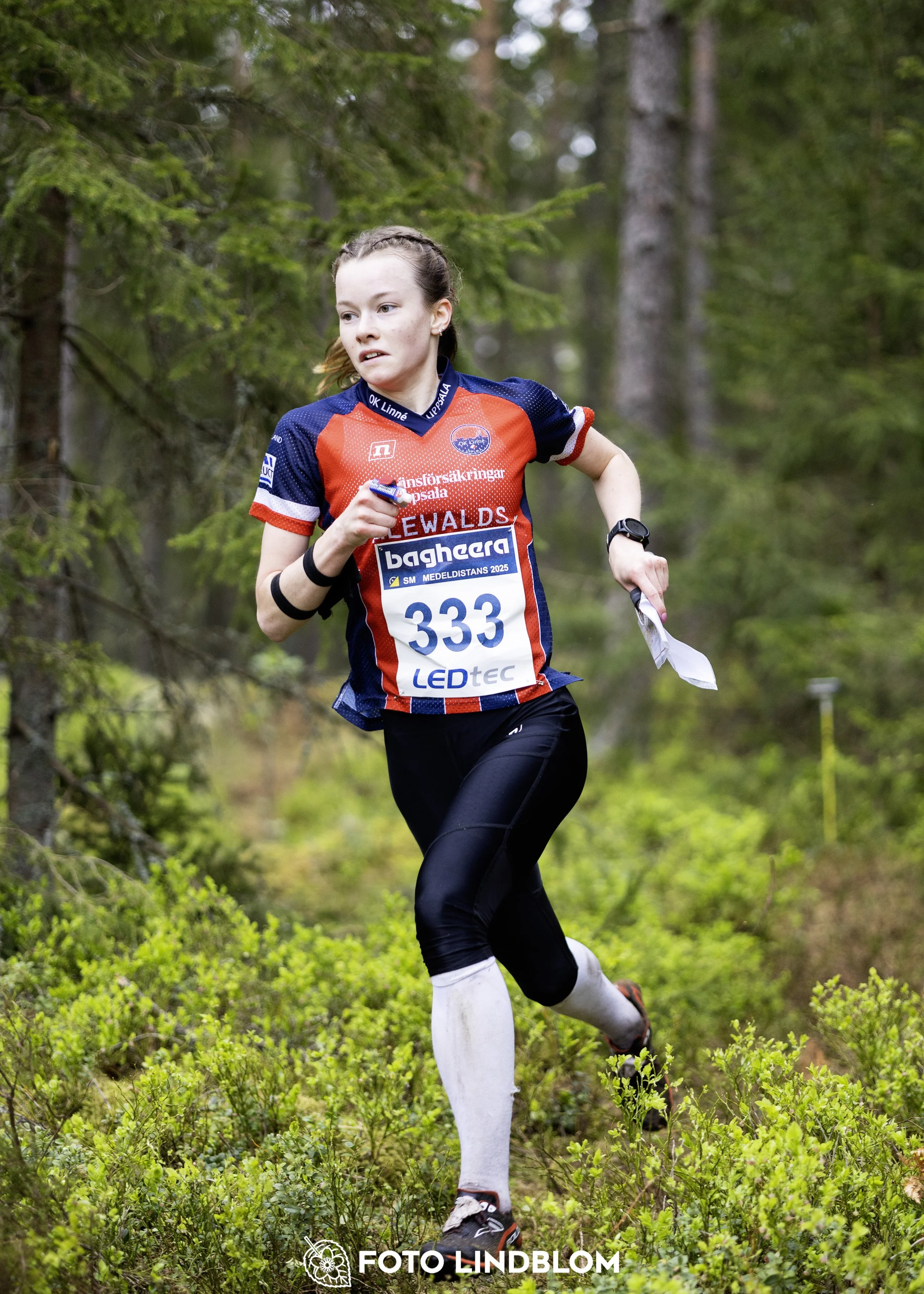 A picture from the Swedish national championship in middle distance orienteering and Swedish league race