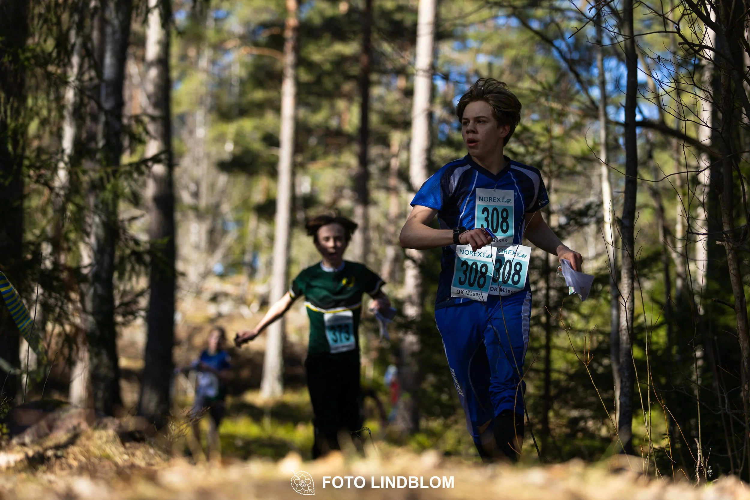 Image from Måsenstafetten 2026 showing orienteering relay teams competing in Swedish forest terrain, taken by Foto Lindblom.