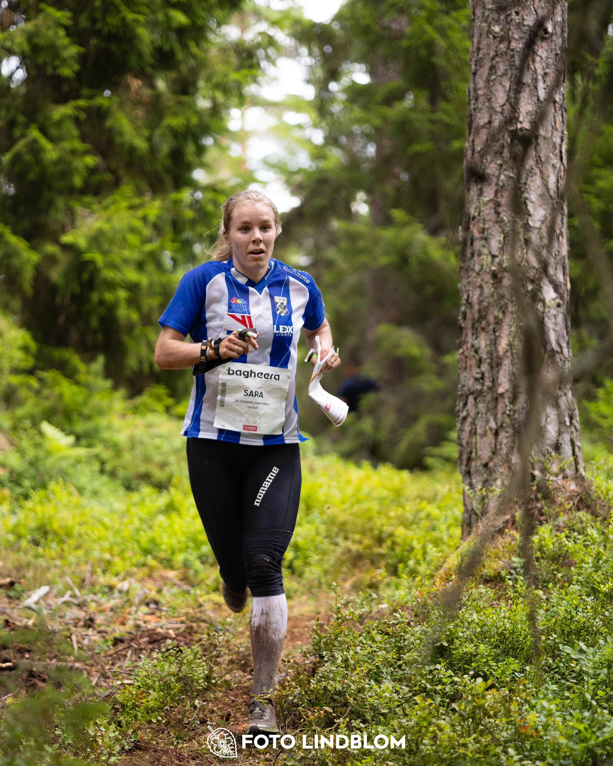 A picture from the second stage of Oringen 2025