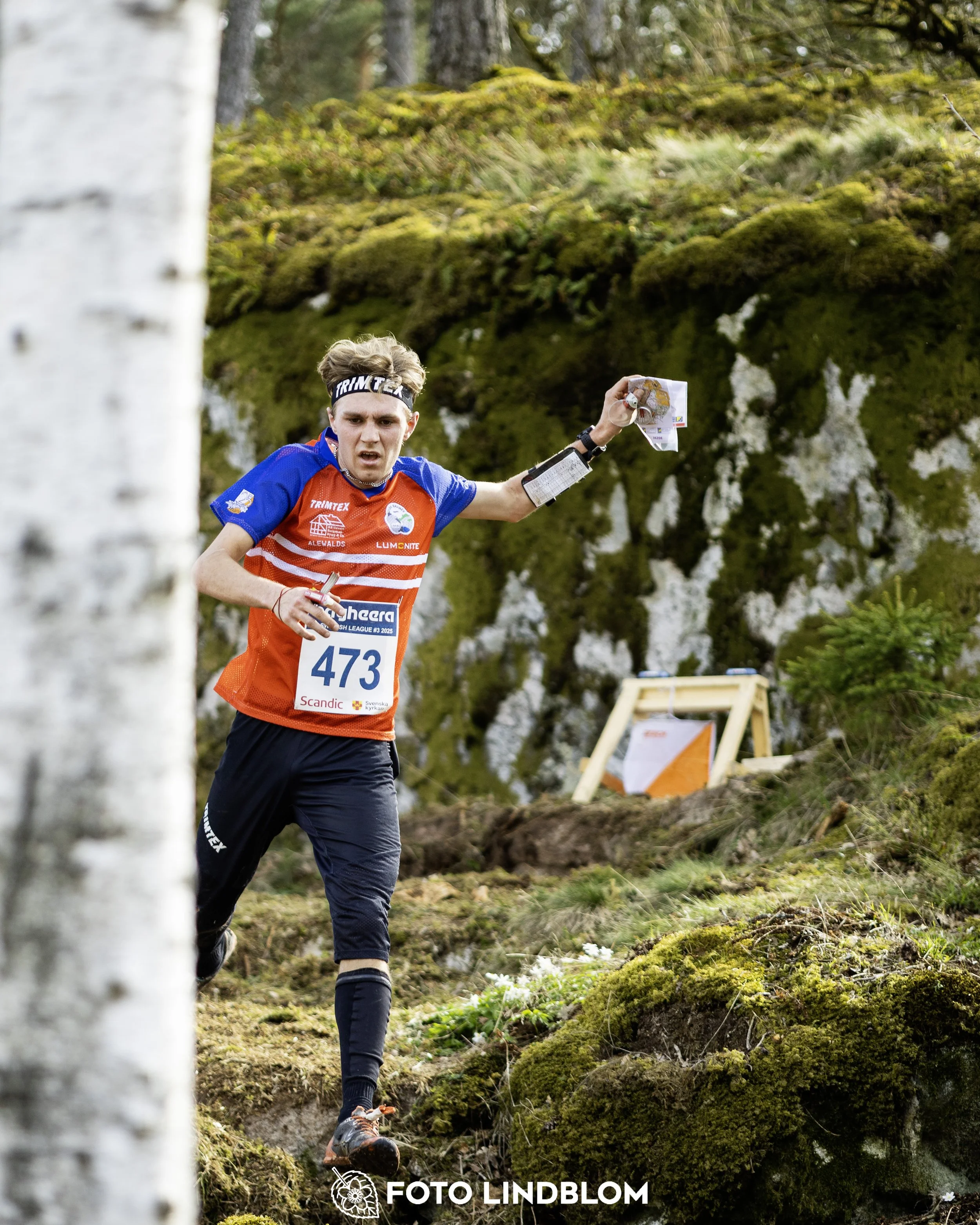 A picture from the third stage of the Swedish League orienteering competition