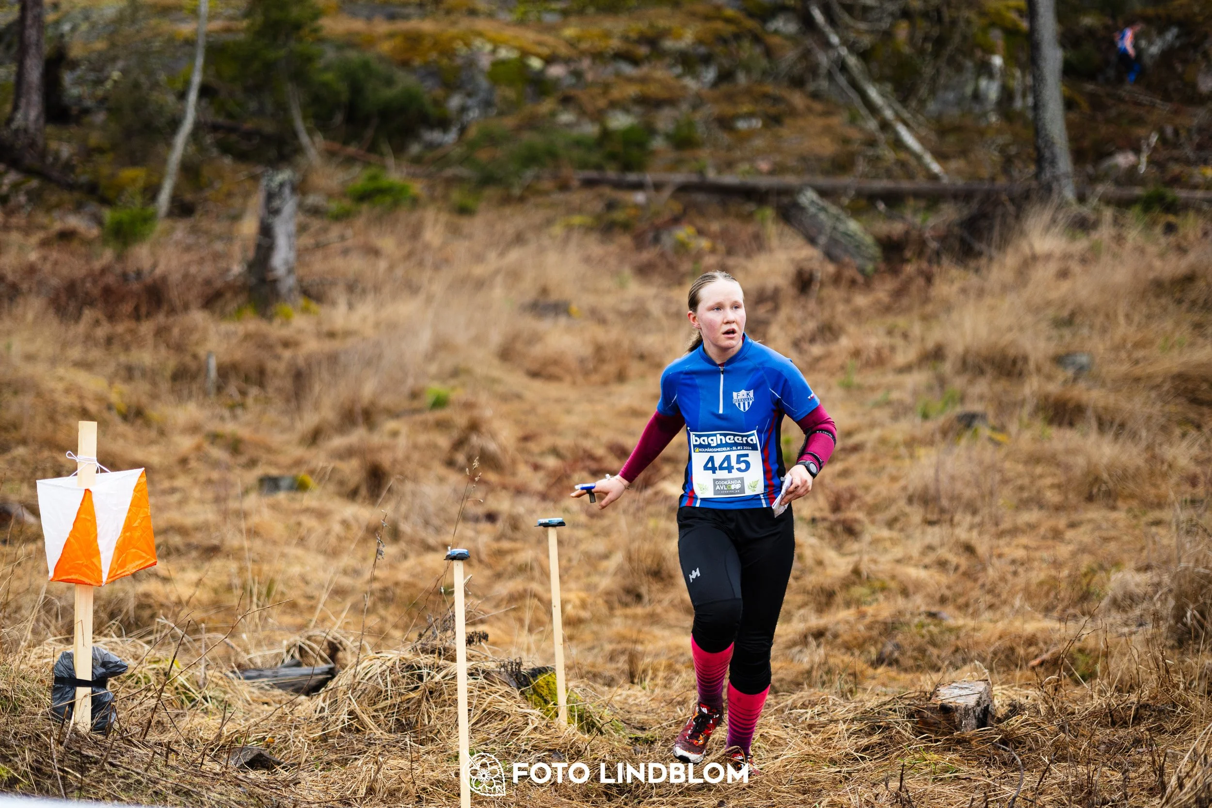 A scene from the Swedish League middle distance event in Kolmården spring 2026, captured by Foto Lindblom.