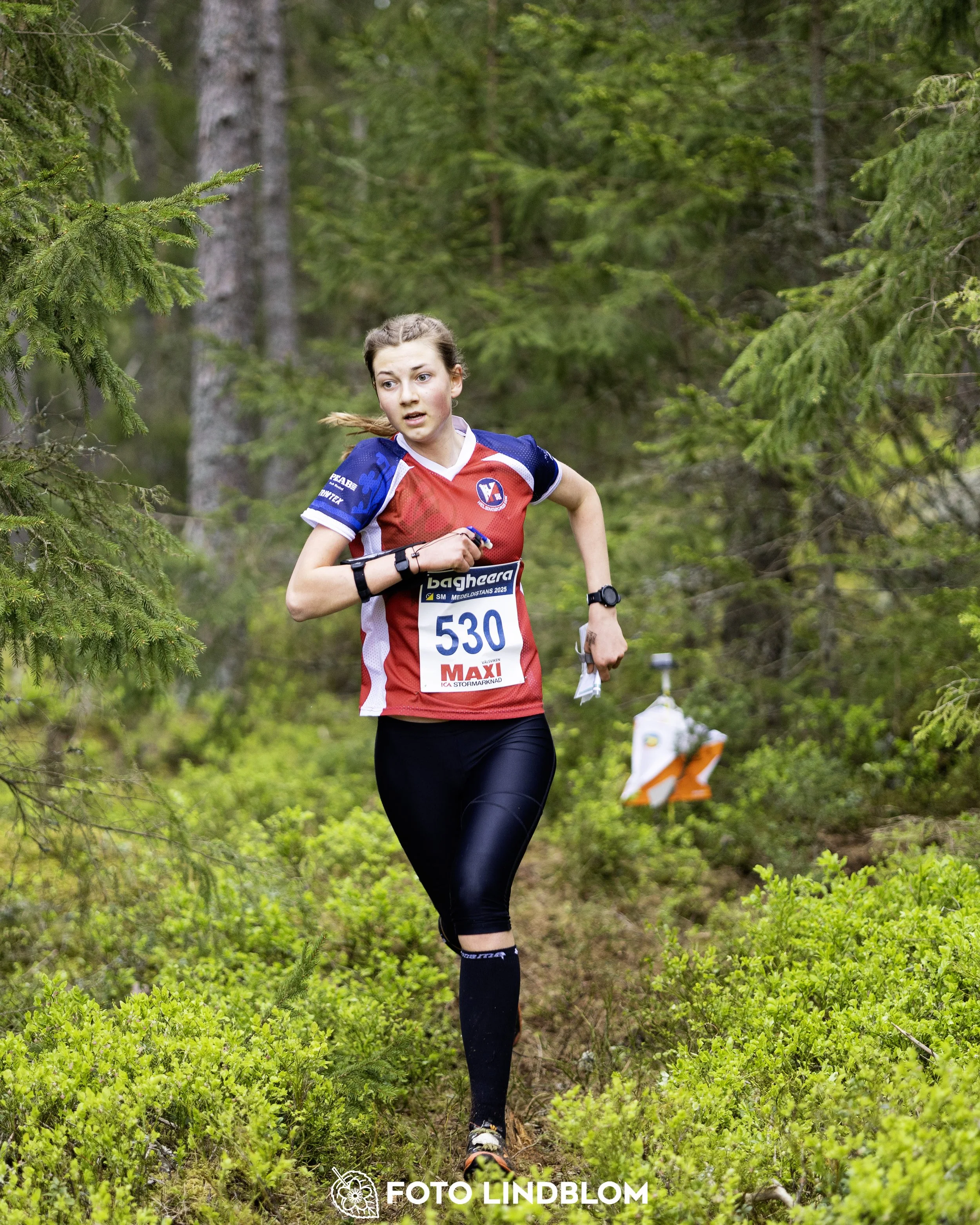 A picture from the Swedish national championship in middle distance orienteering and Swedish league race