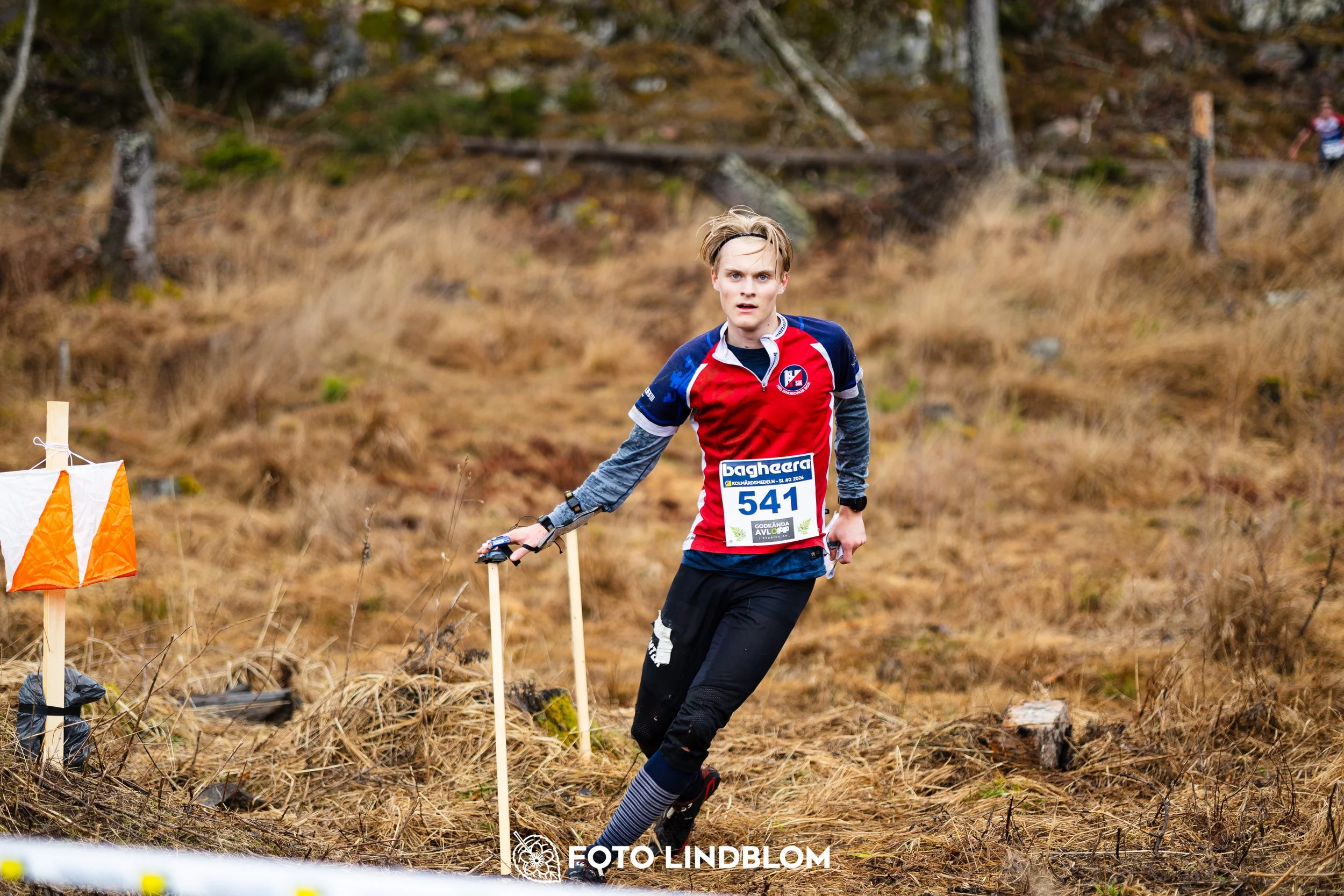 A moment from a middle distance orienteering race in Kolmården during the Swedish League 2026, captured by Foto Lindblom.
