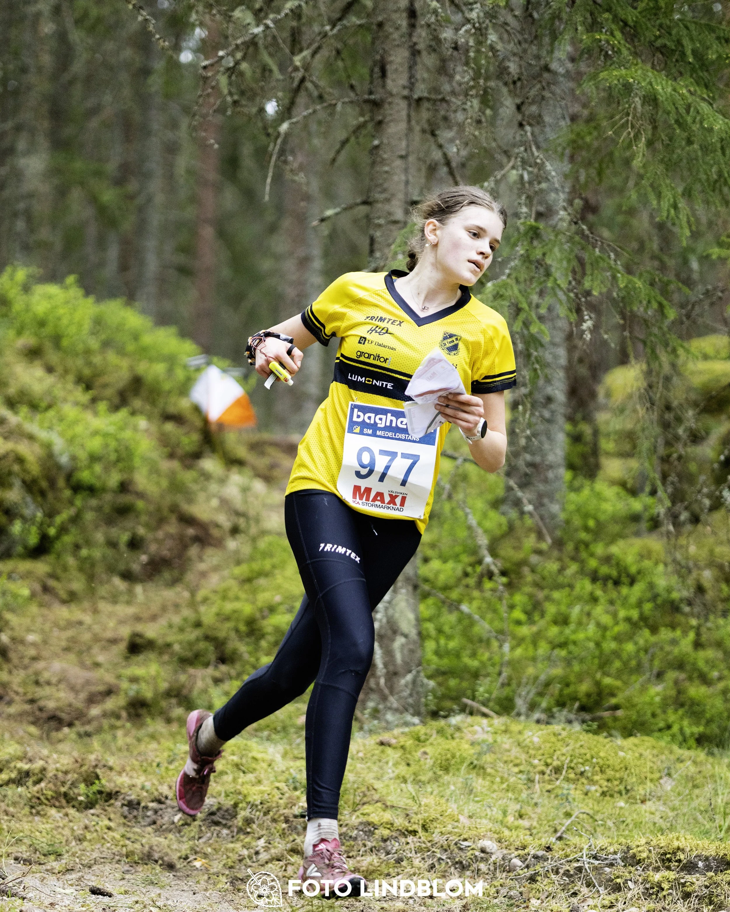 A picture from the Swedish national championship in middle distance orienteering and Swedish league race