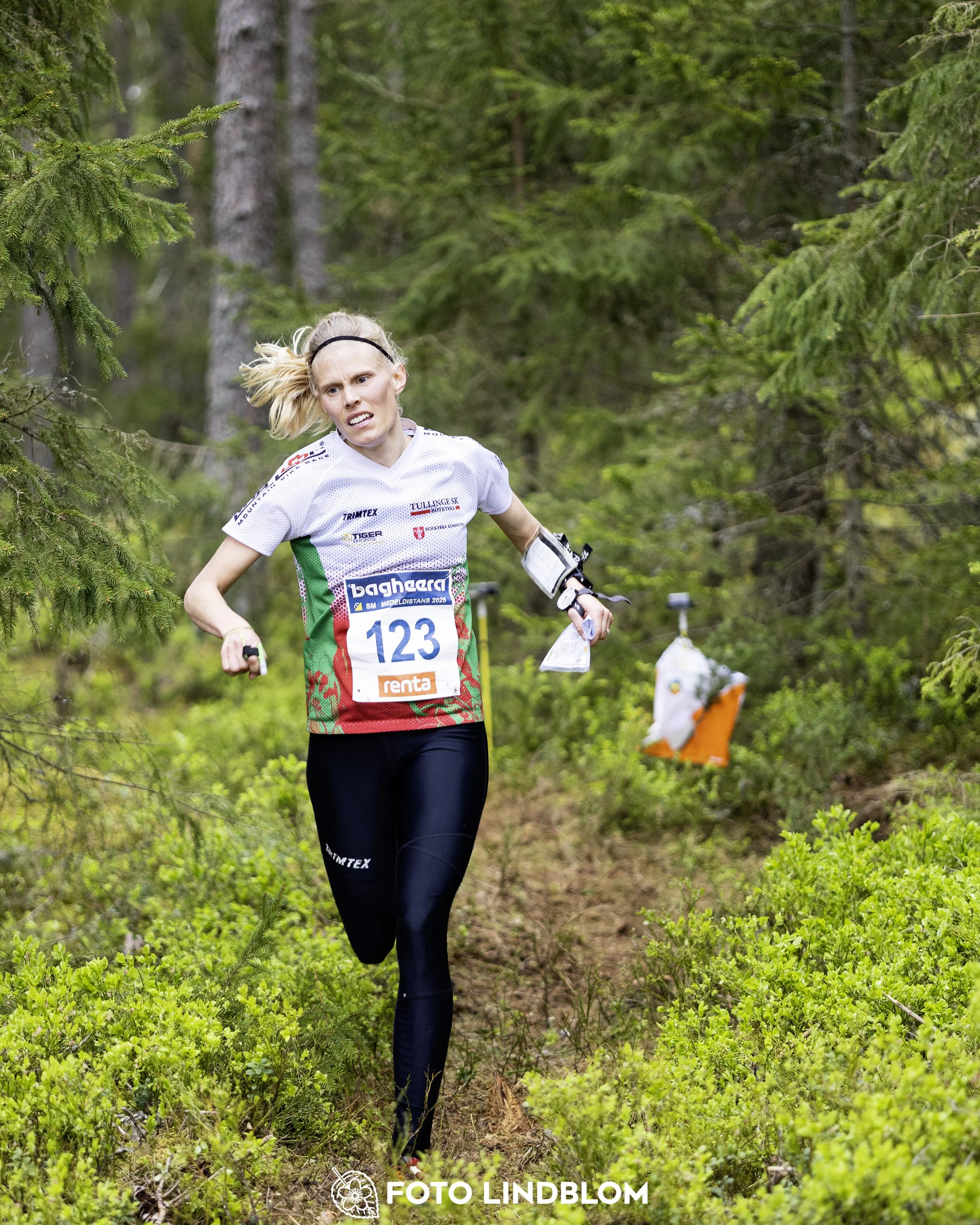 A picture from the Swedish national championship in middle distance orienteering and Swedish league race