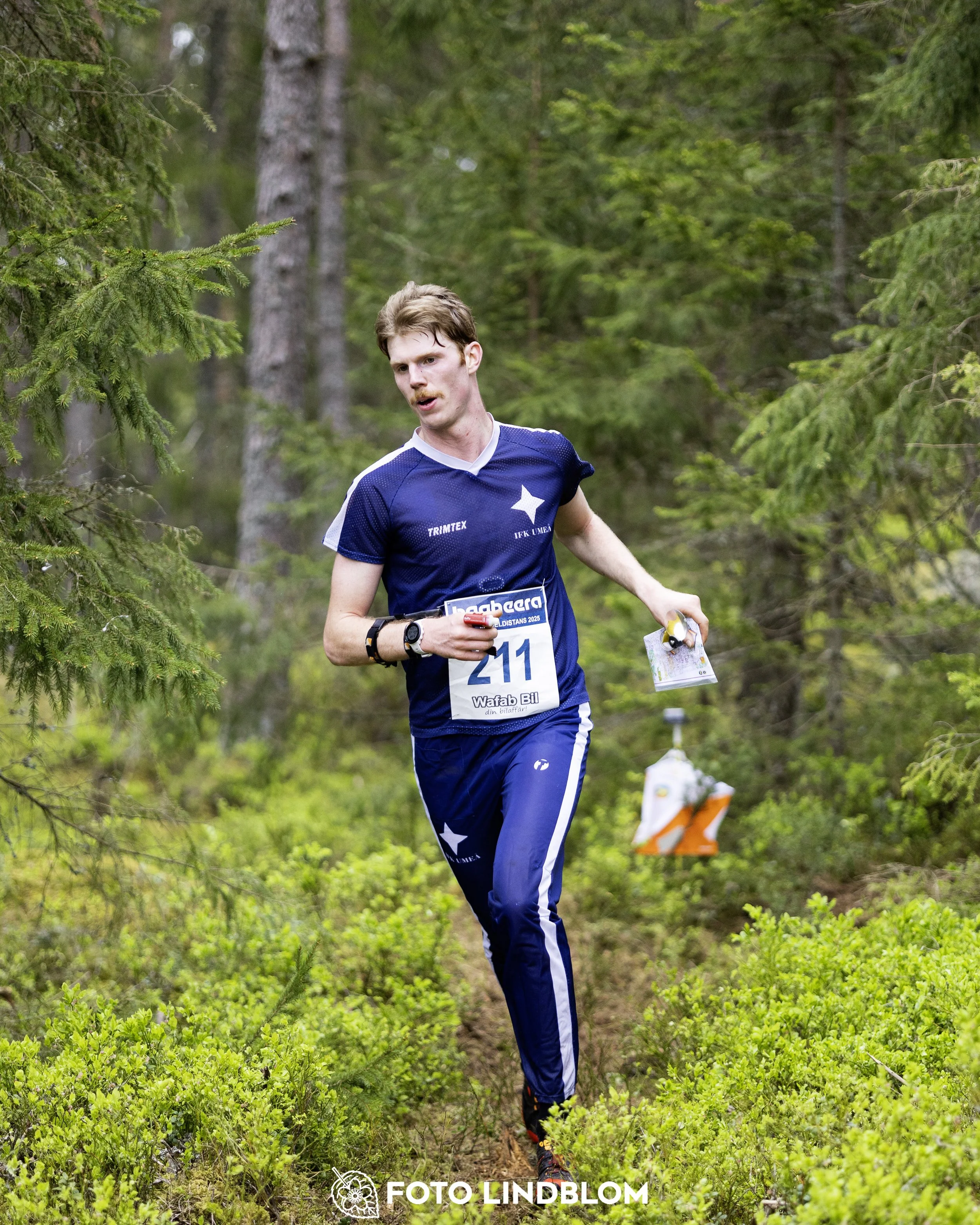 A picture from the Swedish national championship in middle distance orienteering and Swedish league race