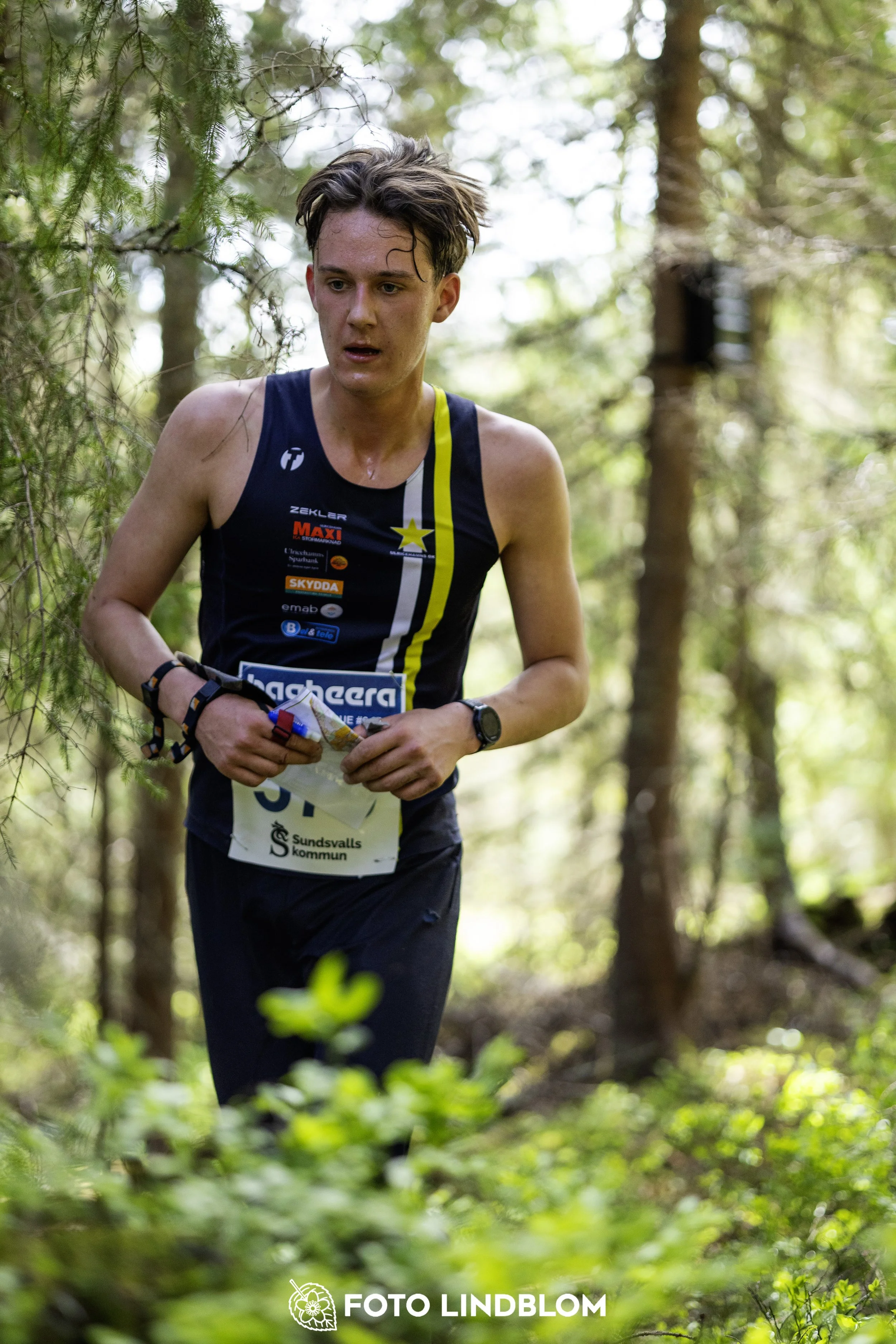 A picture from the seventh stage of the Swedish League orienteering competition