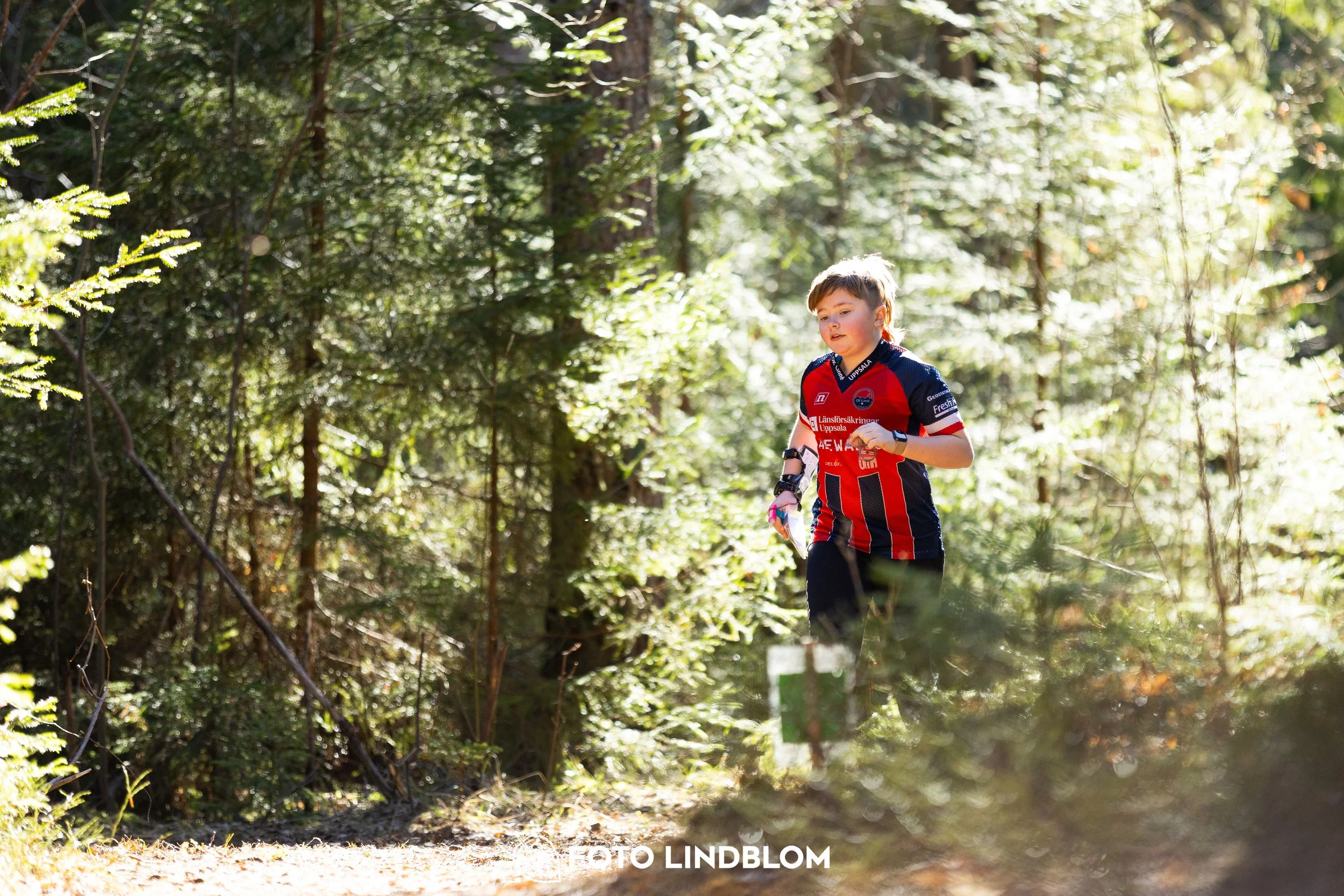 Image from Nyköpingsorienteringen 2026 showing competitors navigating forest terrain, taken by Foto Lindblom.