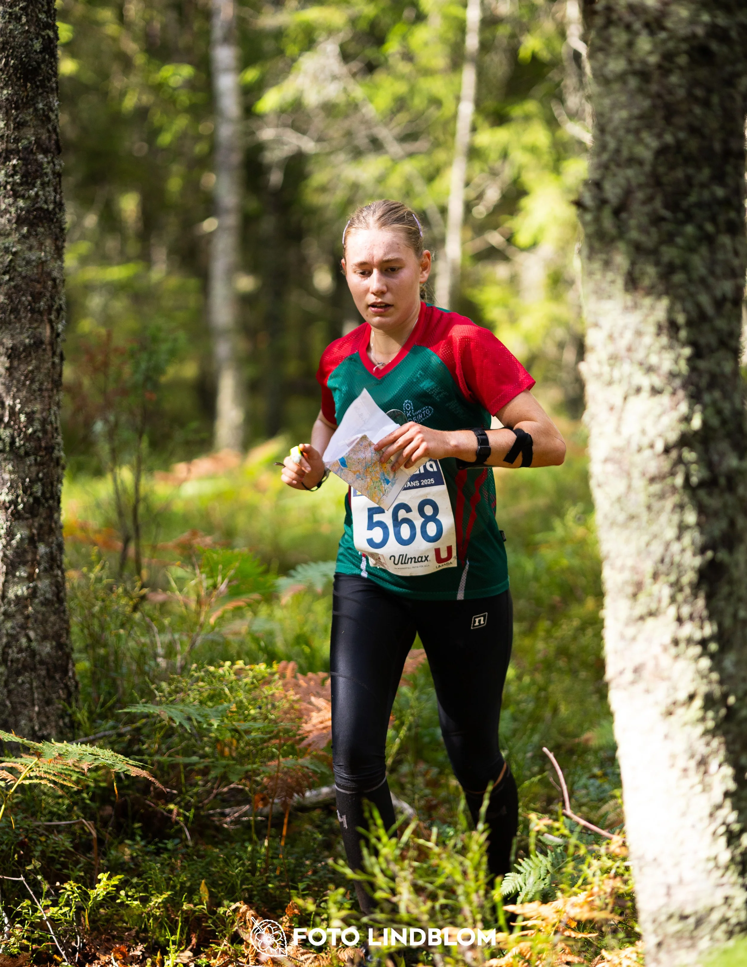 A picture from the Swedish national championship in long distance orienteering and Swedish league race taken by Foto Lindblom