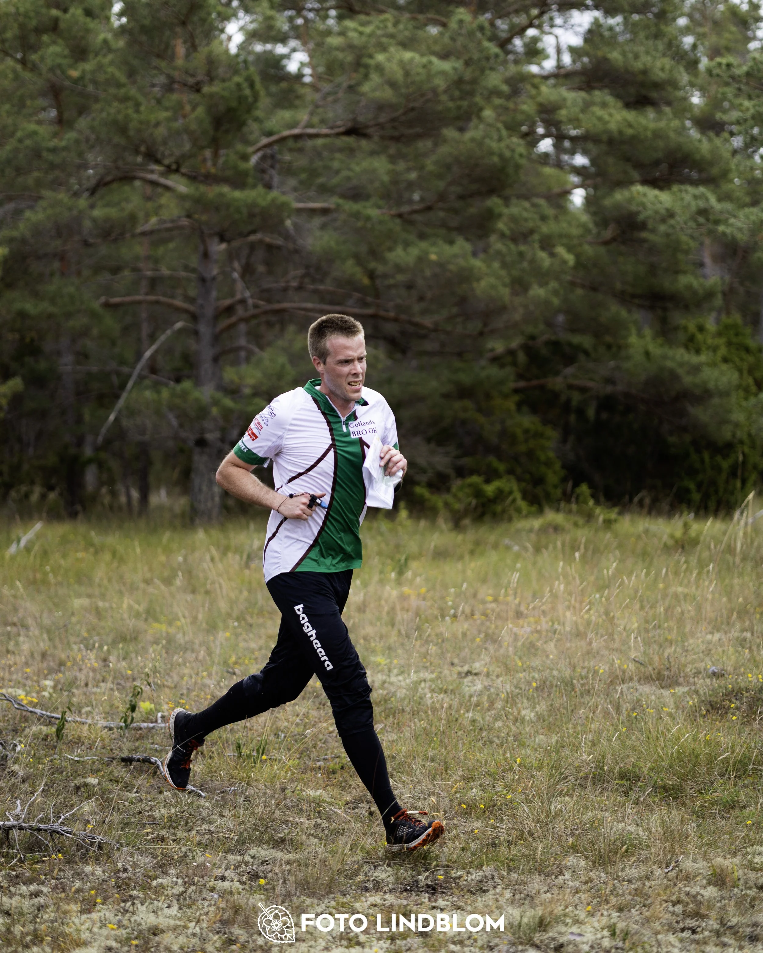 A picture from the Gotlands 2-Dagars orienteering competition