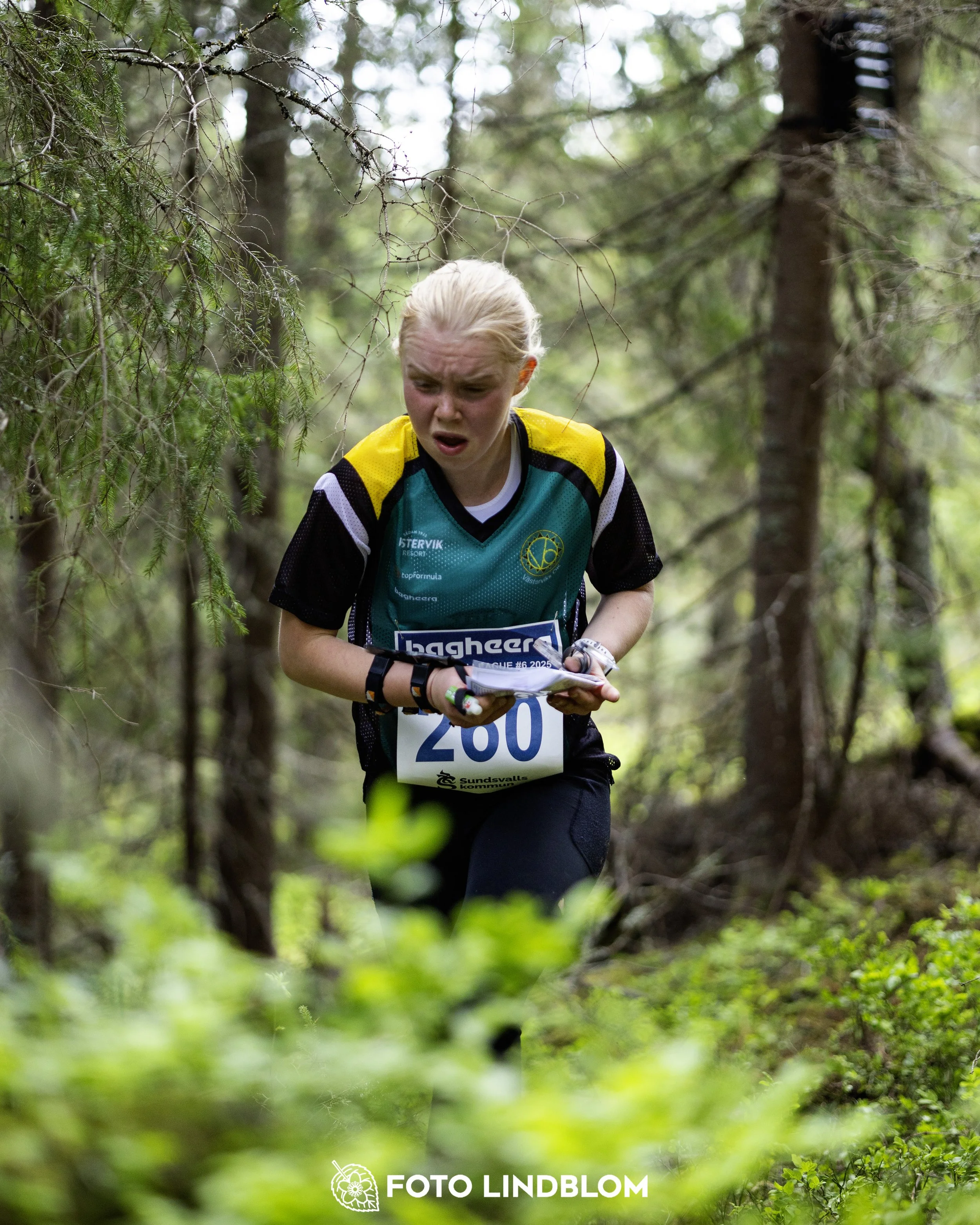 A picture from the seventh stage of the Swedish League orienteering competition
