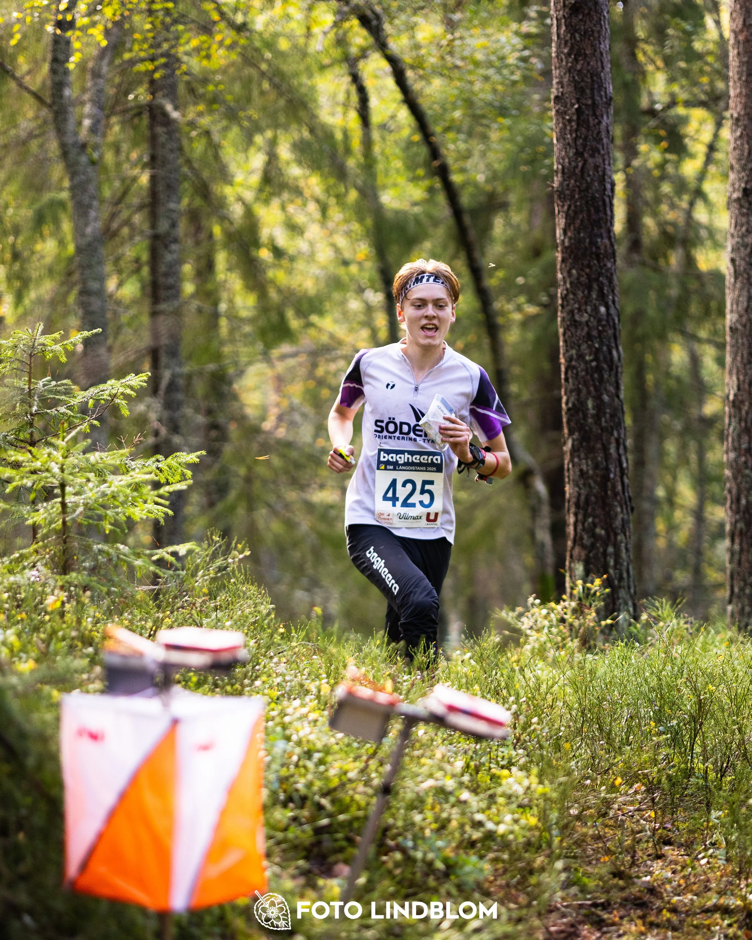A picture from the Swedish national championship in long distance orienteering and Swedish league race taken by Foto Lindblom