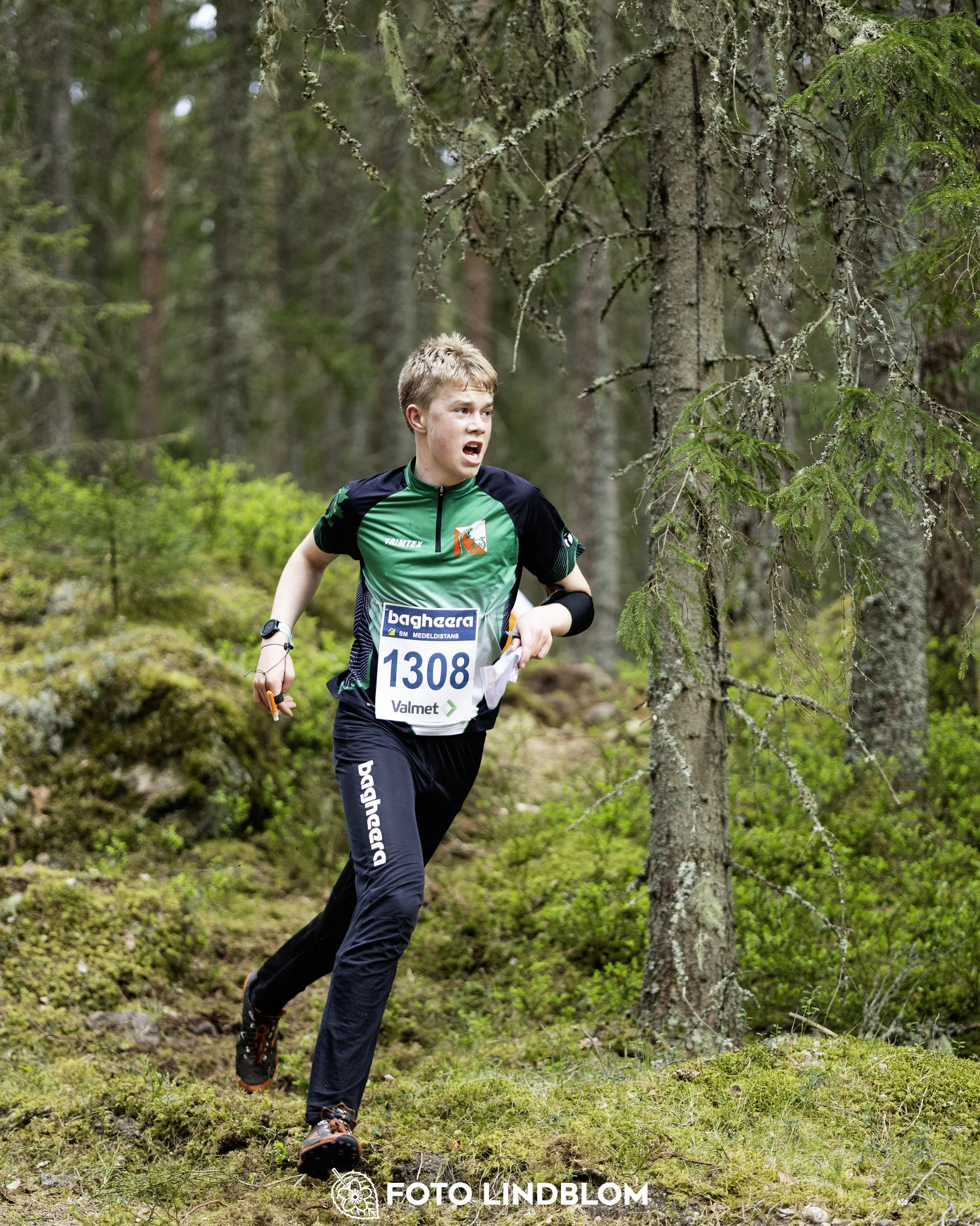 A picture from the Swedish national championship in middle distance orienteering and Swedish league race