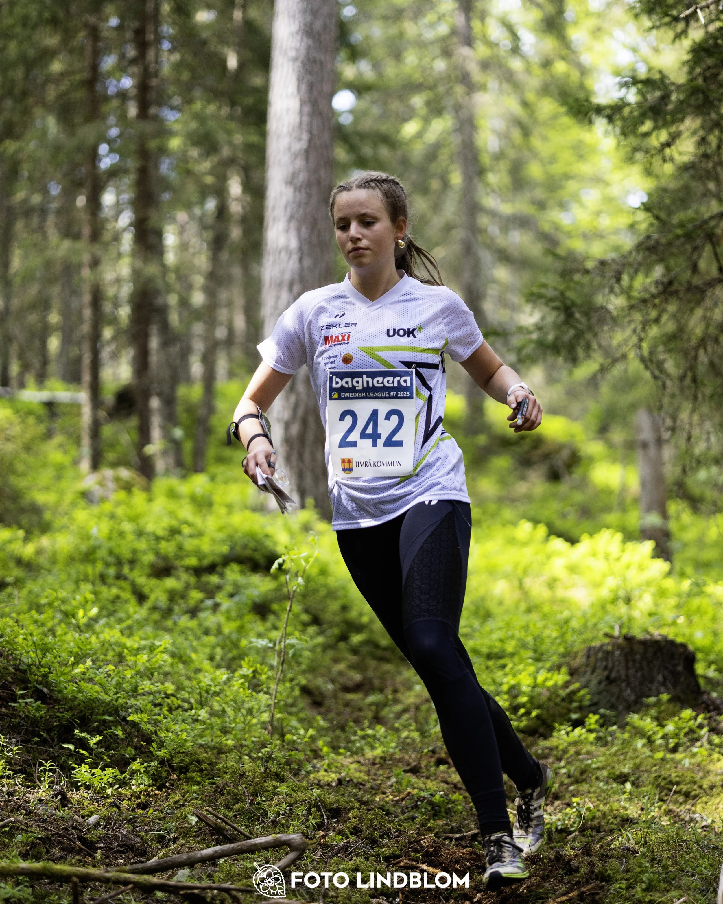 A picture from the seventh stage of the Swedish League orienteering competition