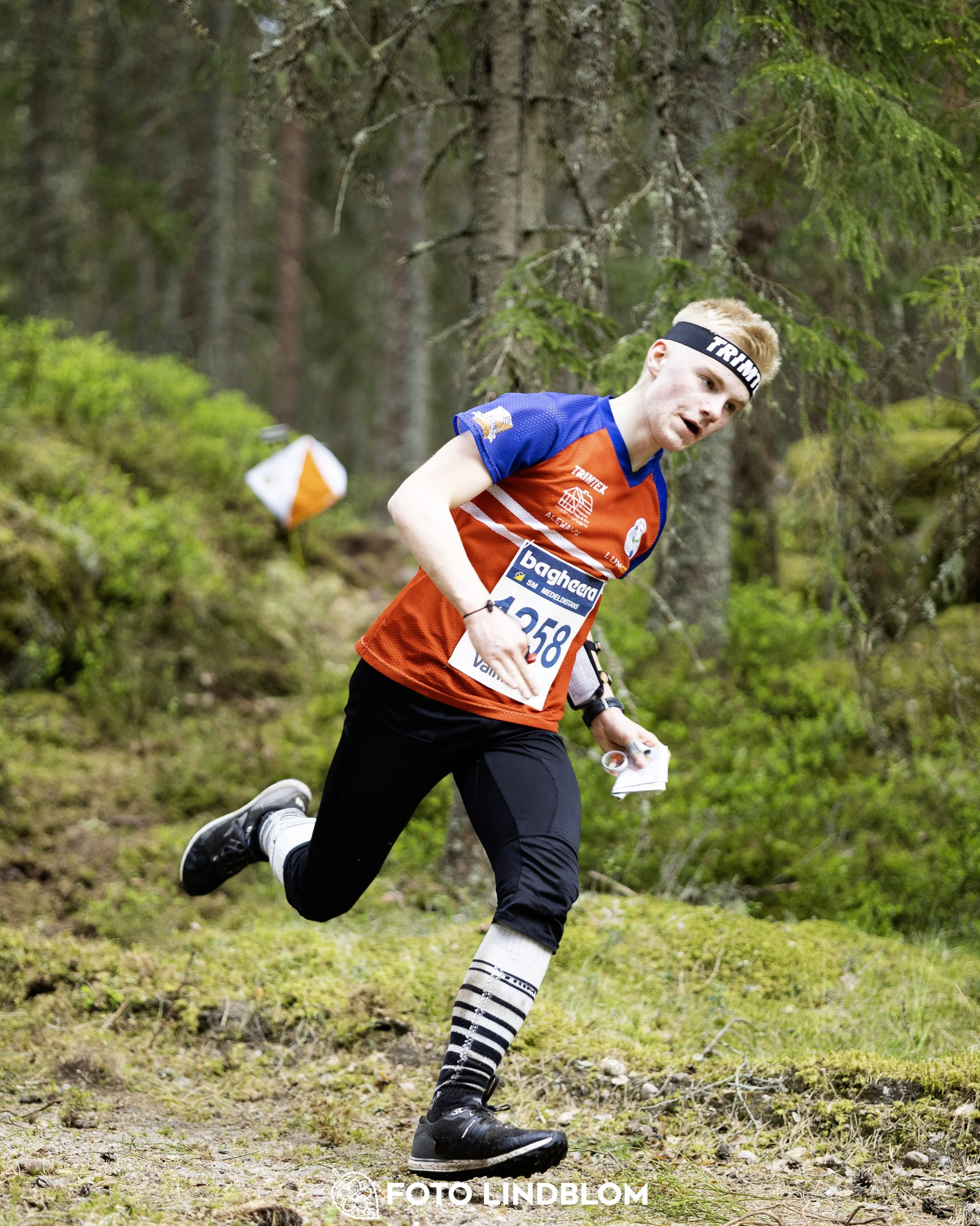 A picture from the Swedish national championship in middle distance orienteering and Swedish league race