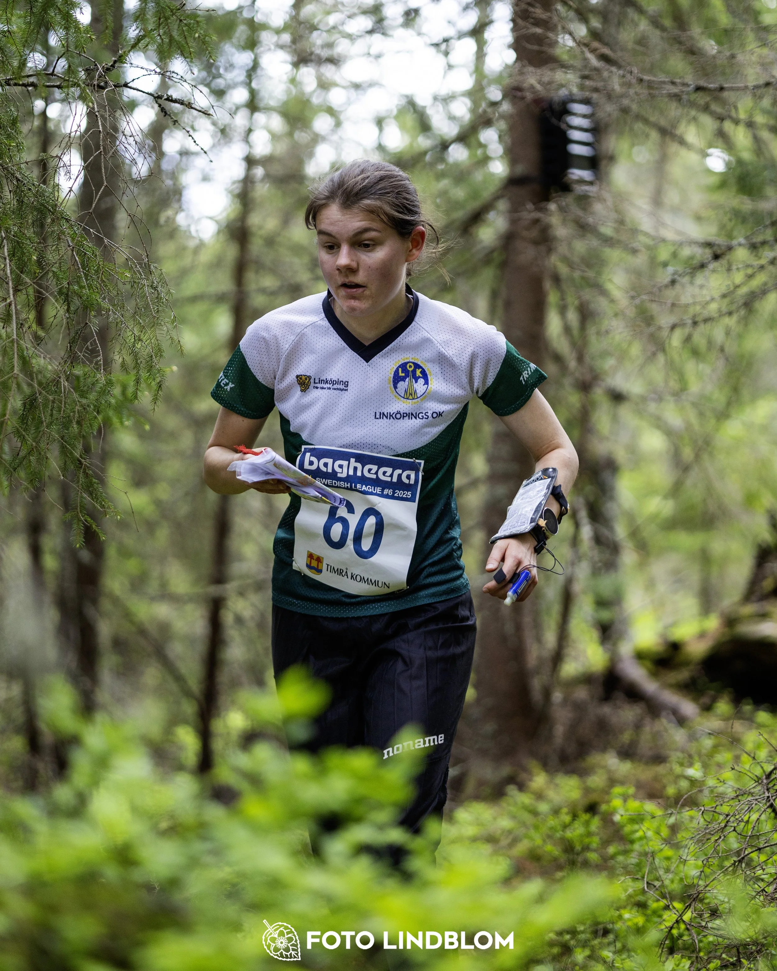 A picture from the seventh stage of the Swedish League orienteering competition